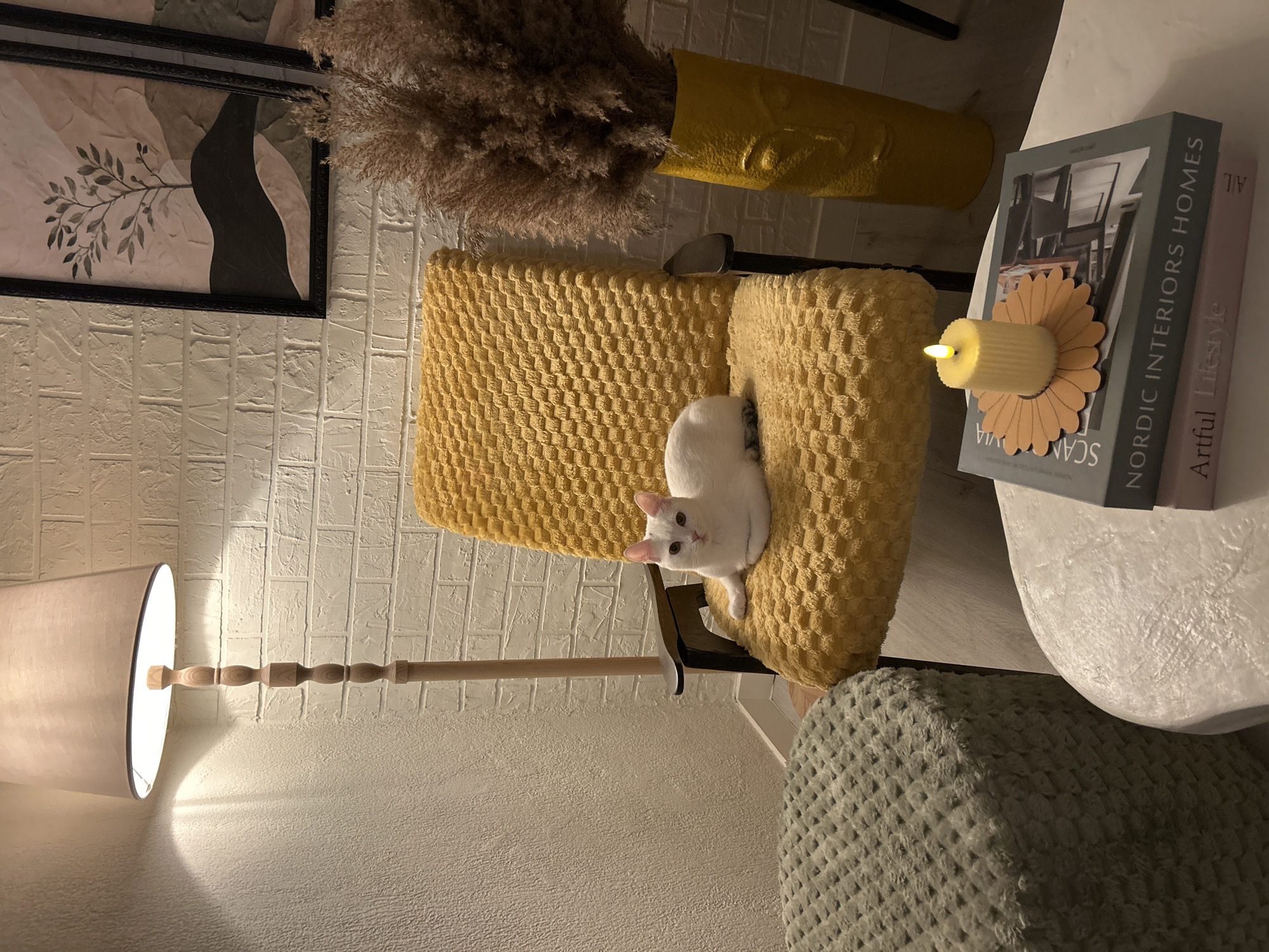 Inside a stylish Bălți apartment with pets and warm decor