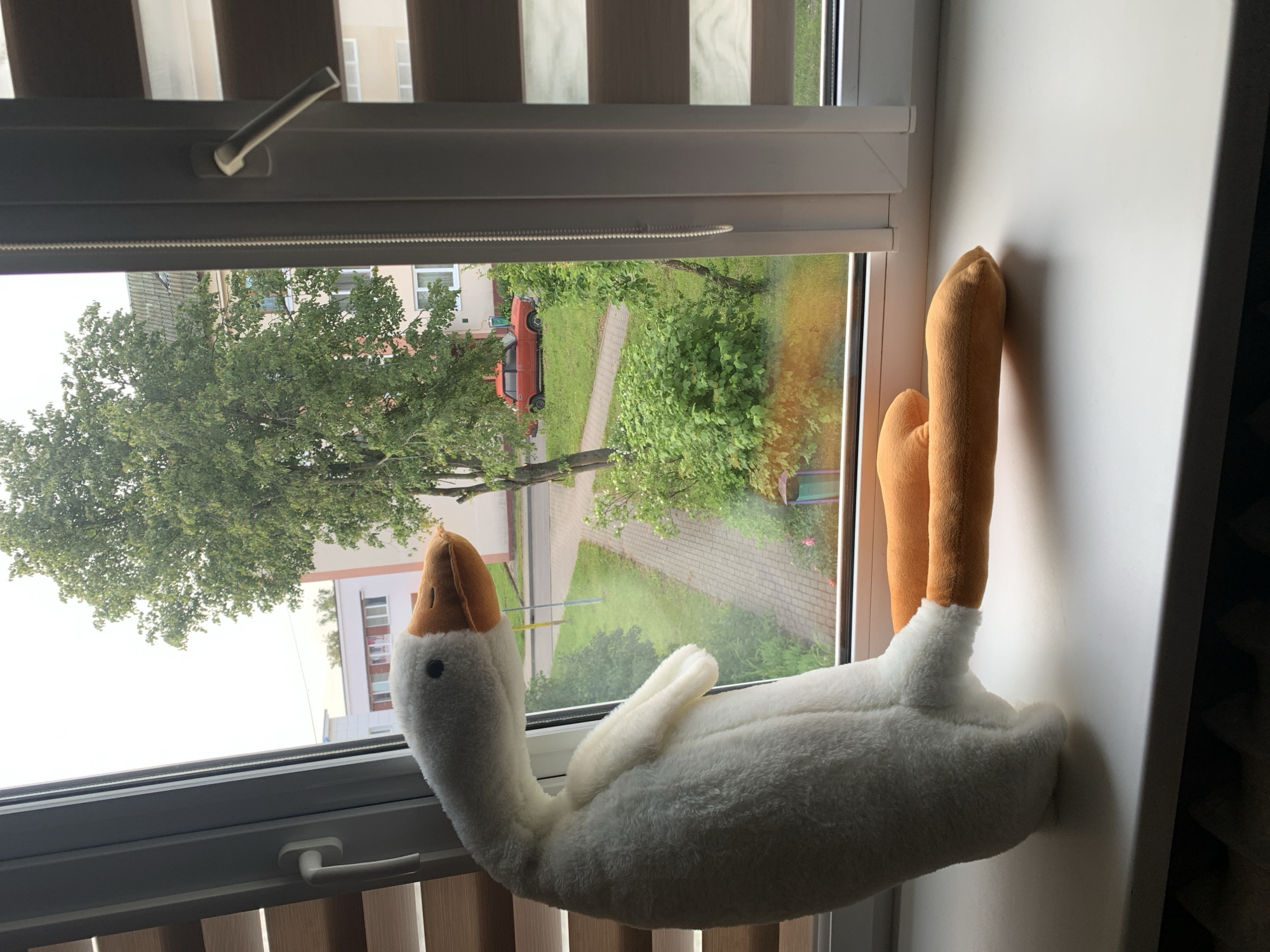 Toy goose and real birds in Kapyĺ residential area