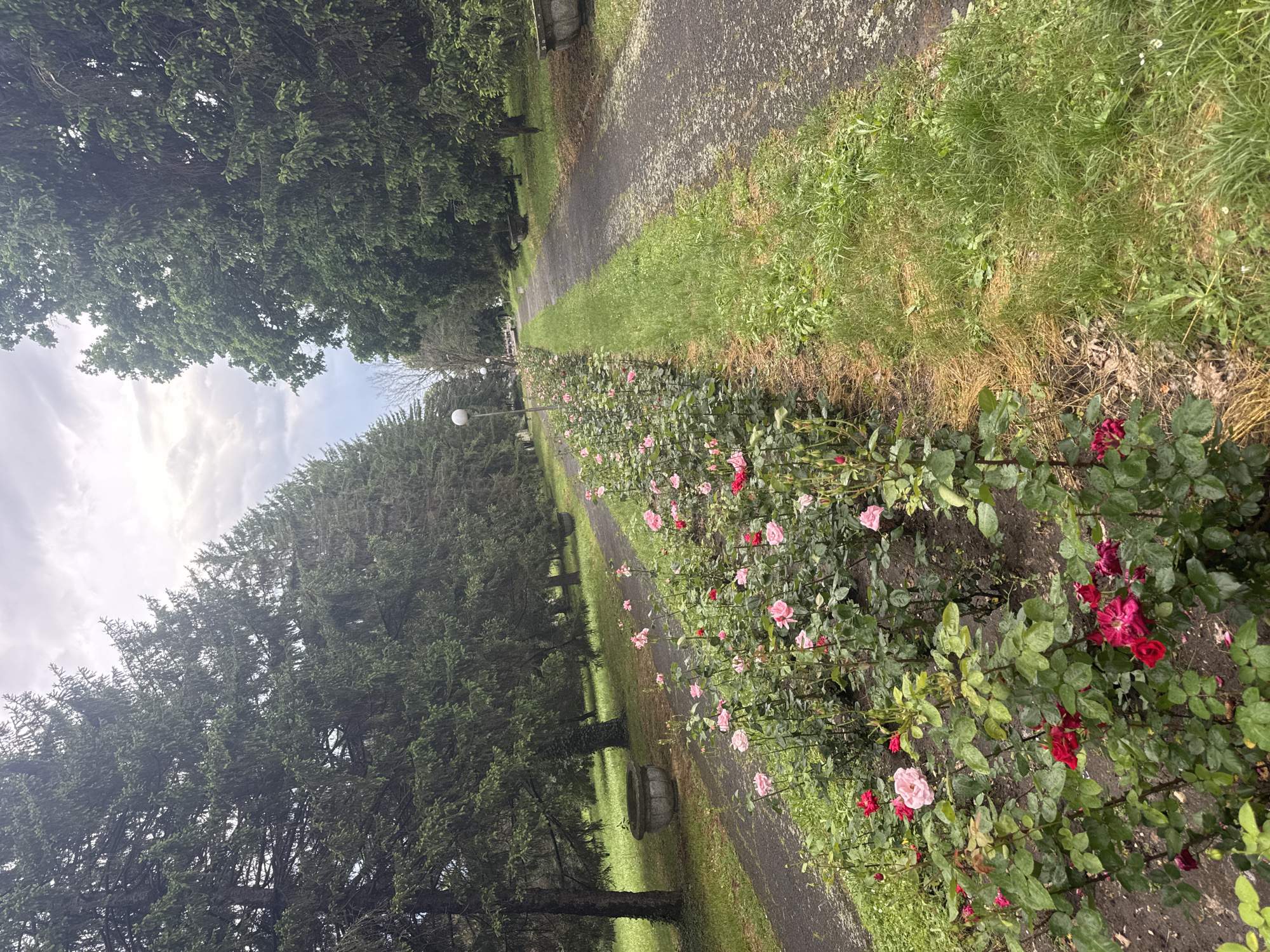 Anonymous witness documents urban park and street scenes during afternoon