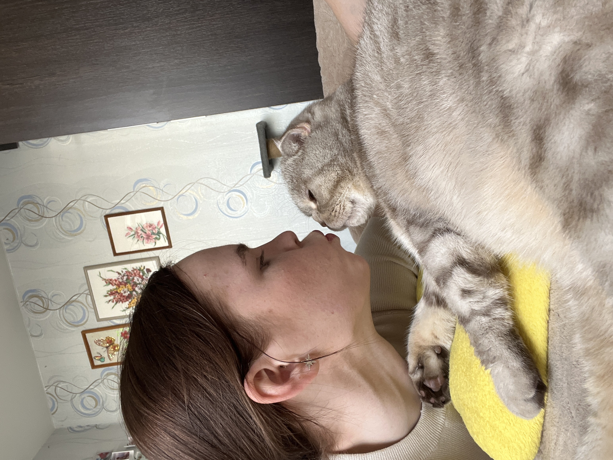 Domestic morning routine with cats documented in Chaikovsky, Russia