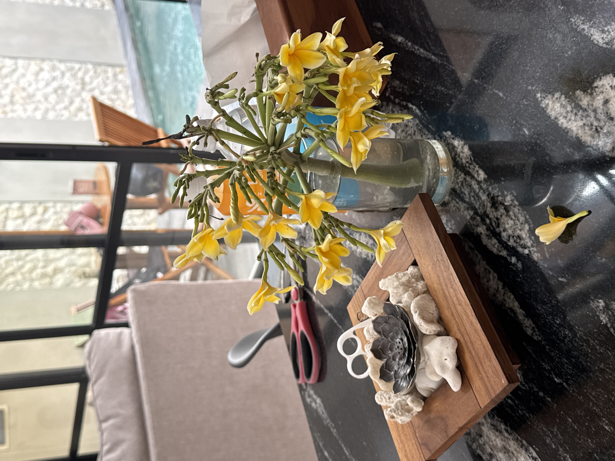 A relaxed villa morning across Denpasar and Kuta, Bali