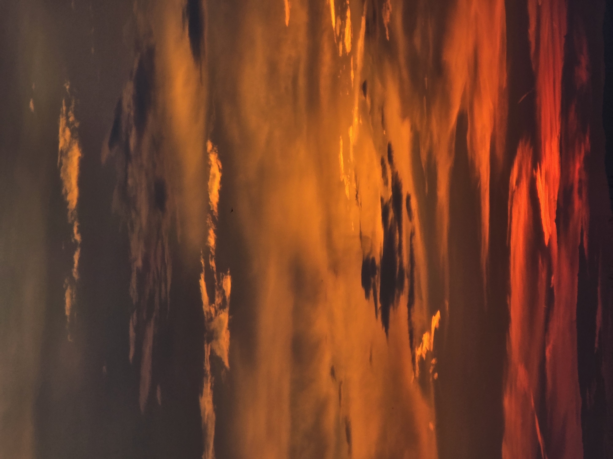 Aerial views of a city residential area at sunset