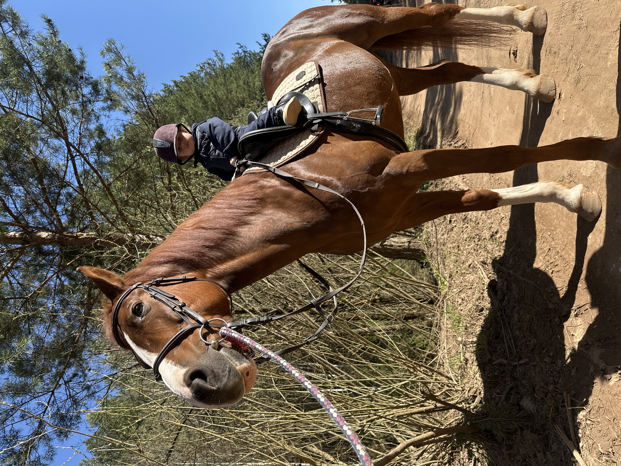 Child takes horseback riding lesson in Russian countryside