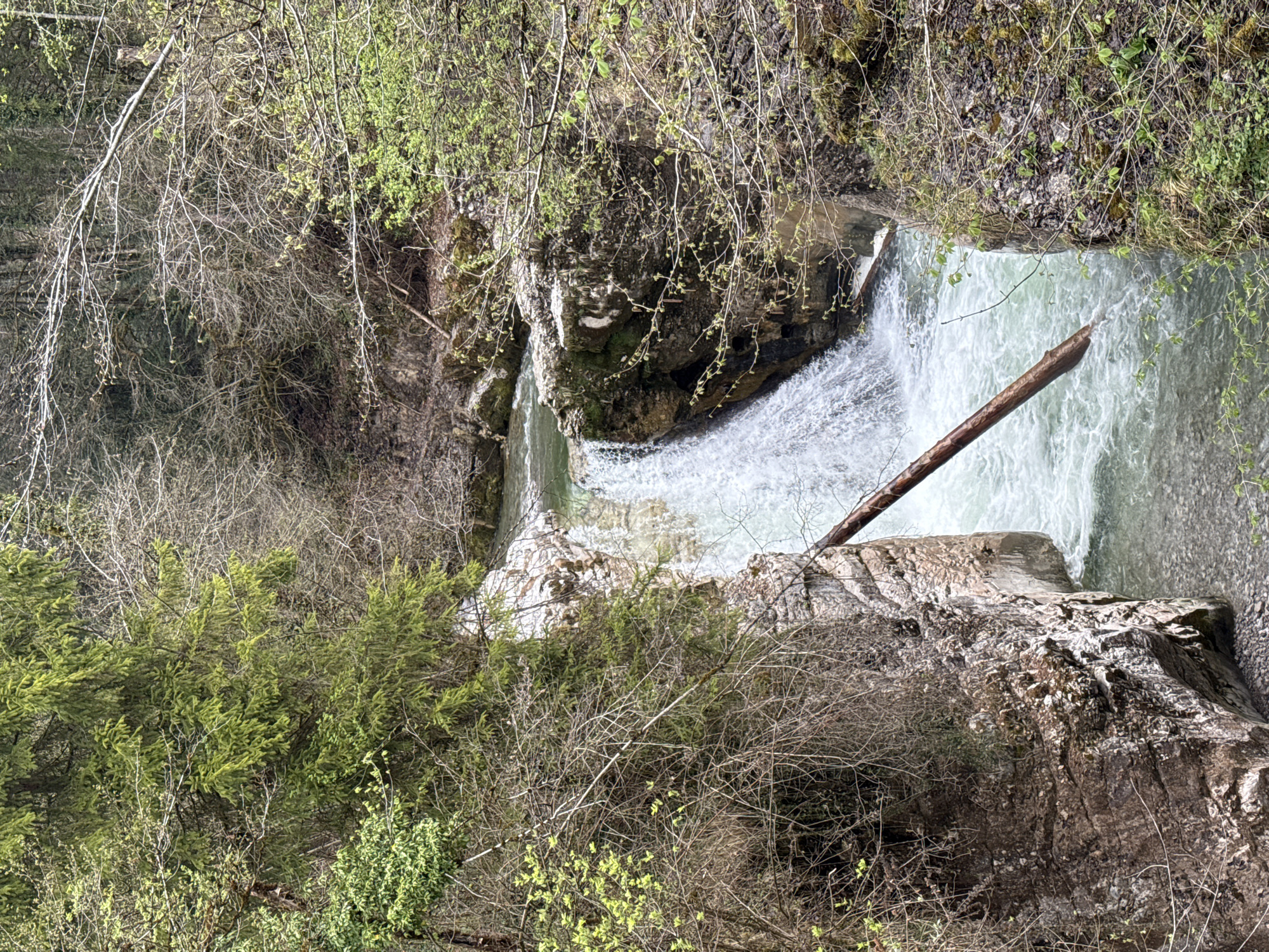 Waterfall with fallen log observed in Kuchl, Austria