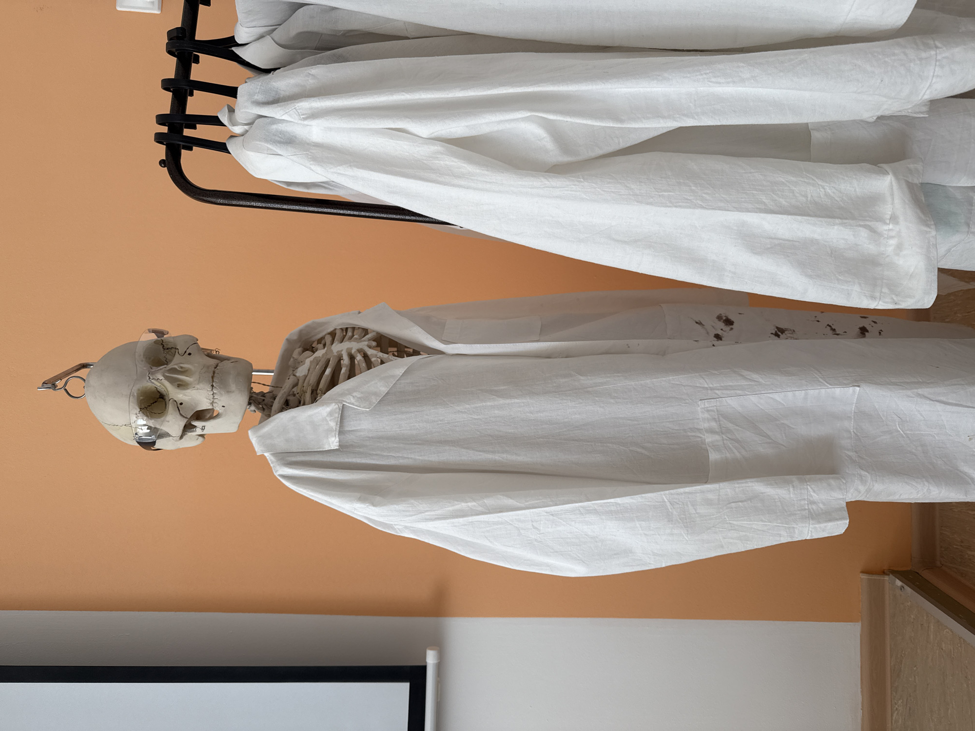 Skeleton in lab coat spotted in Chaikovsky room