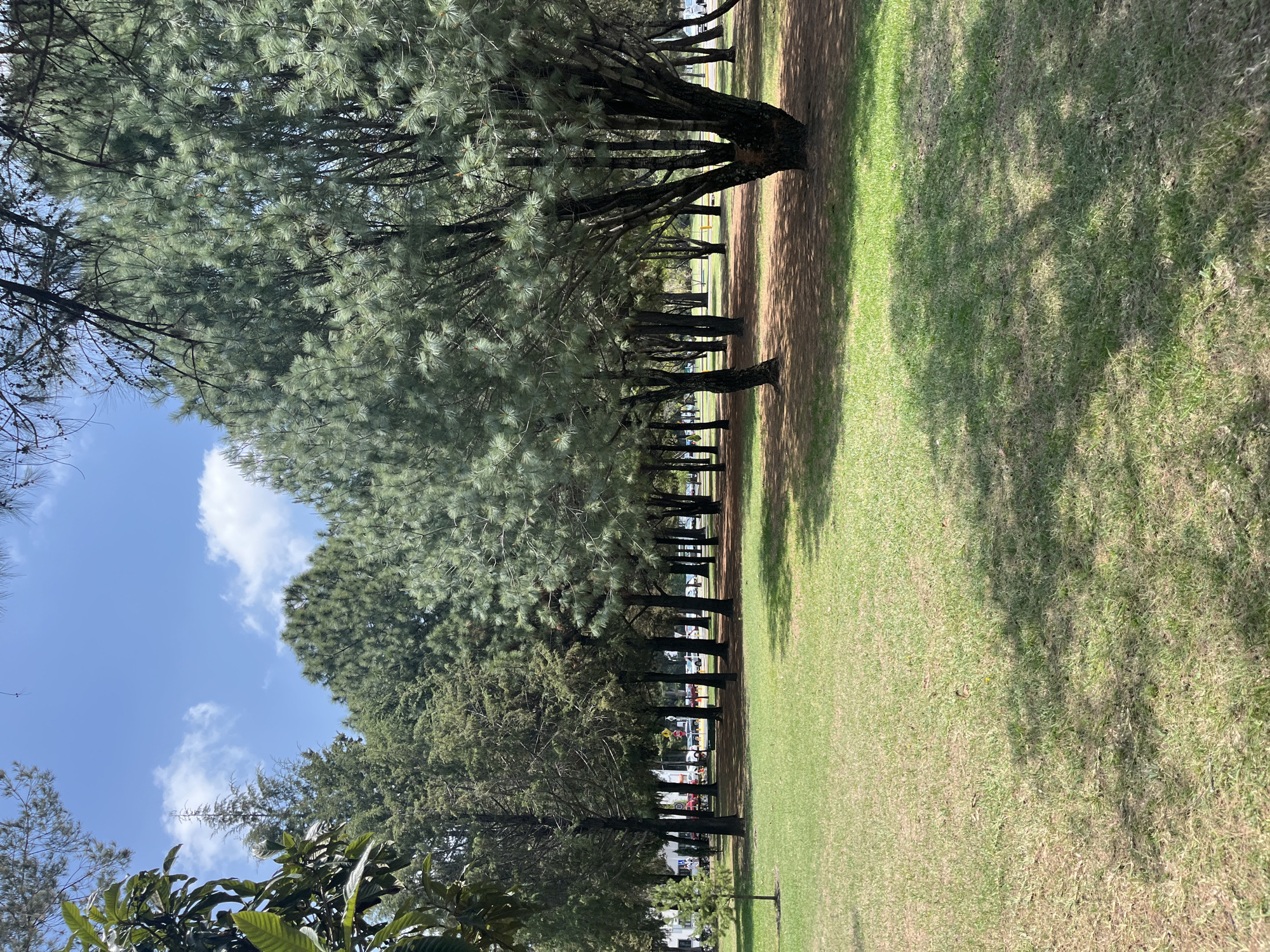 Sunny afternoon scenes documented in San Andrés Cholula park