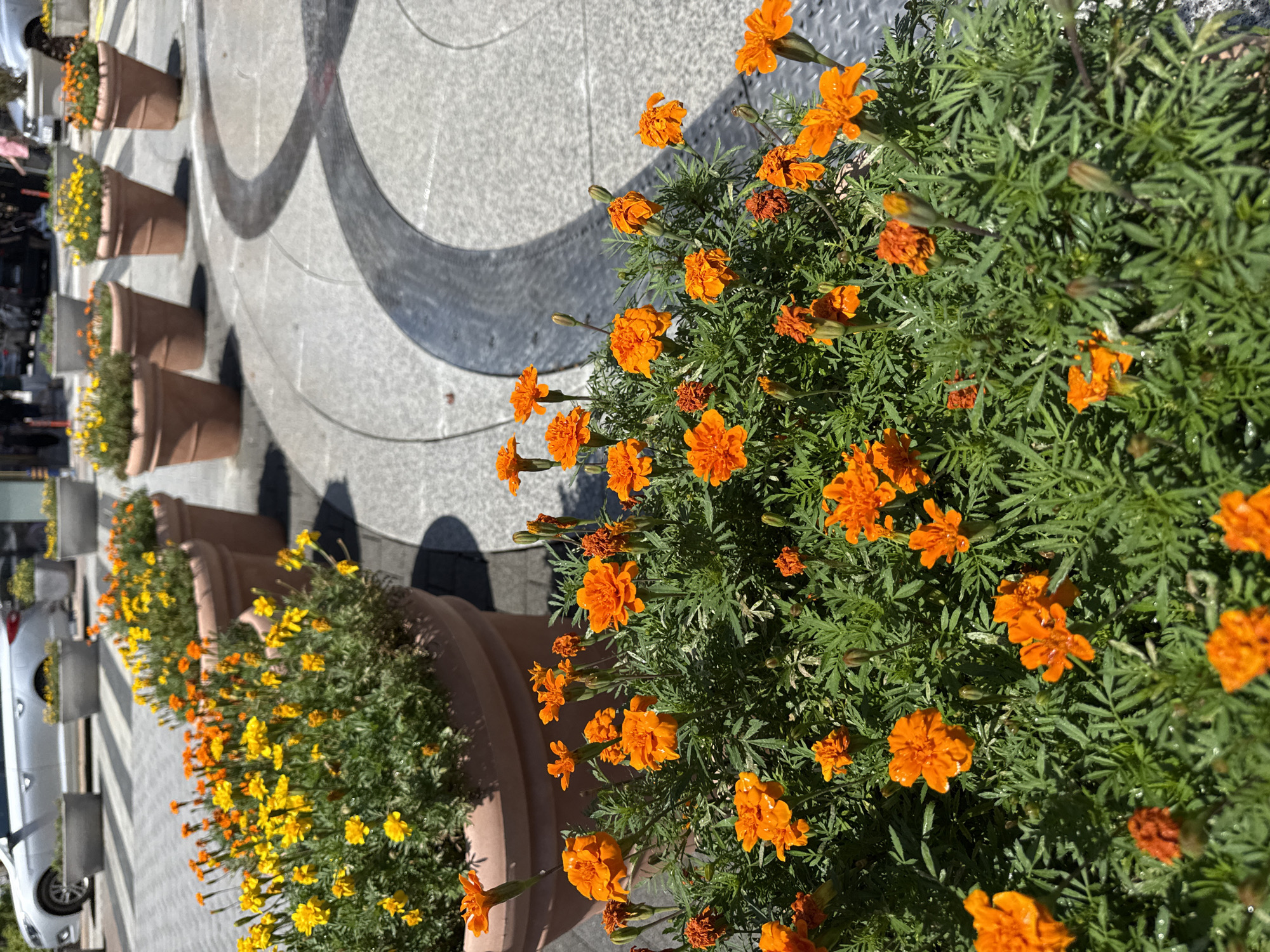 Landscaped grounds and interior details of a civic or commercial complex