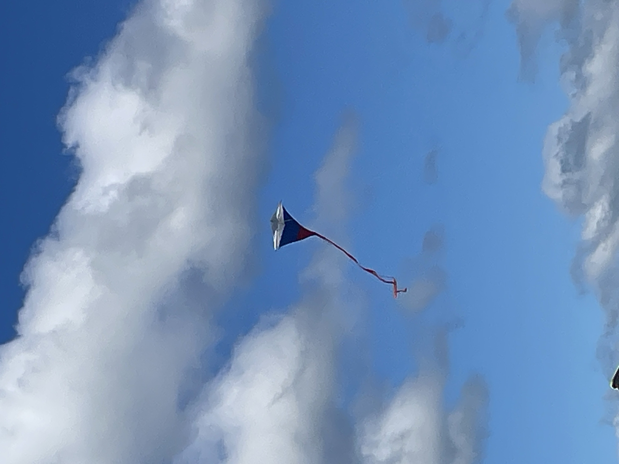 Kite flying on a sunny summer afternoon in rural Russia