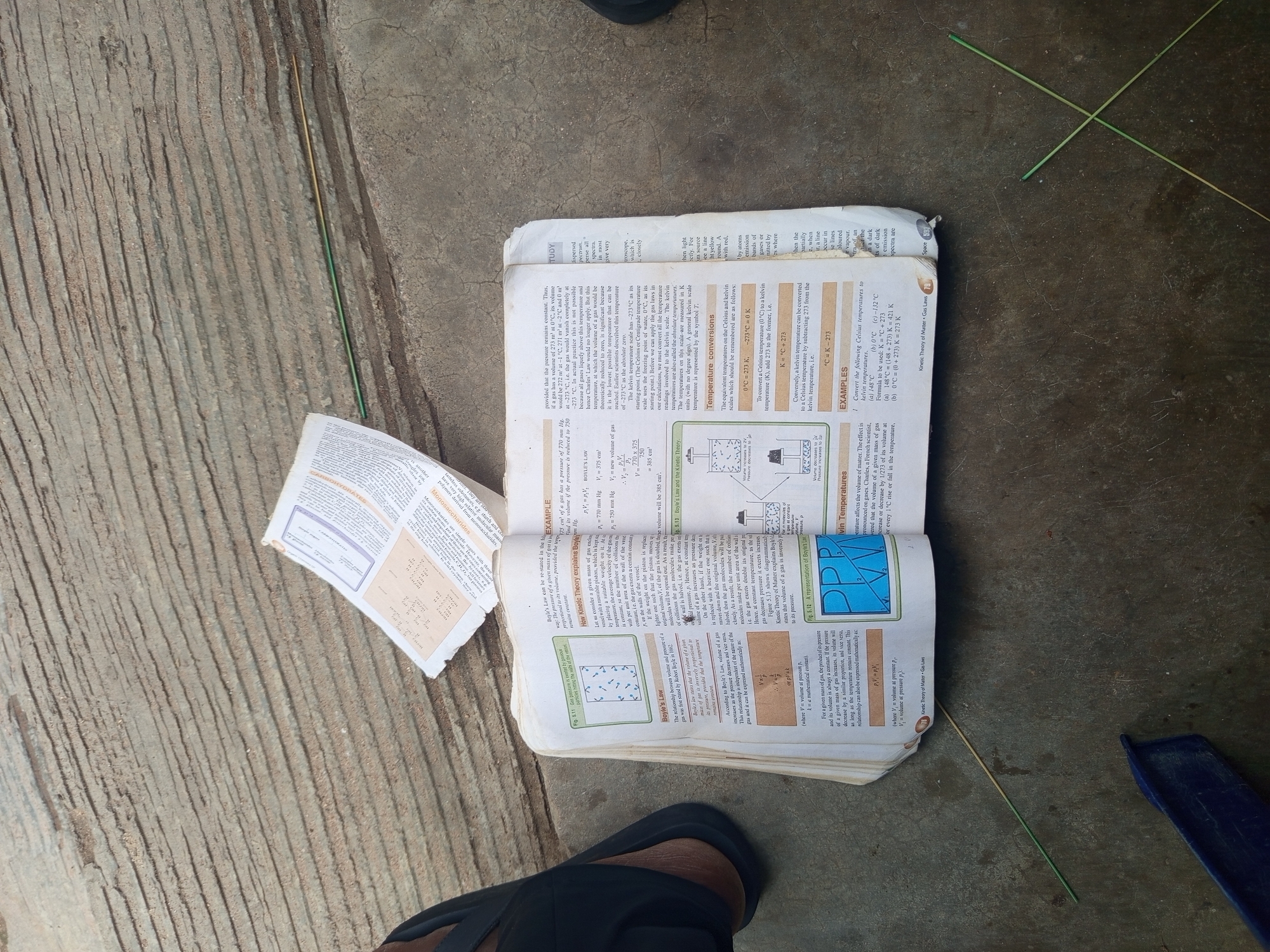Outdoor textbook study session in Jalingo covers microbiology