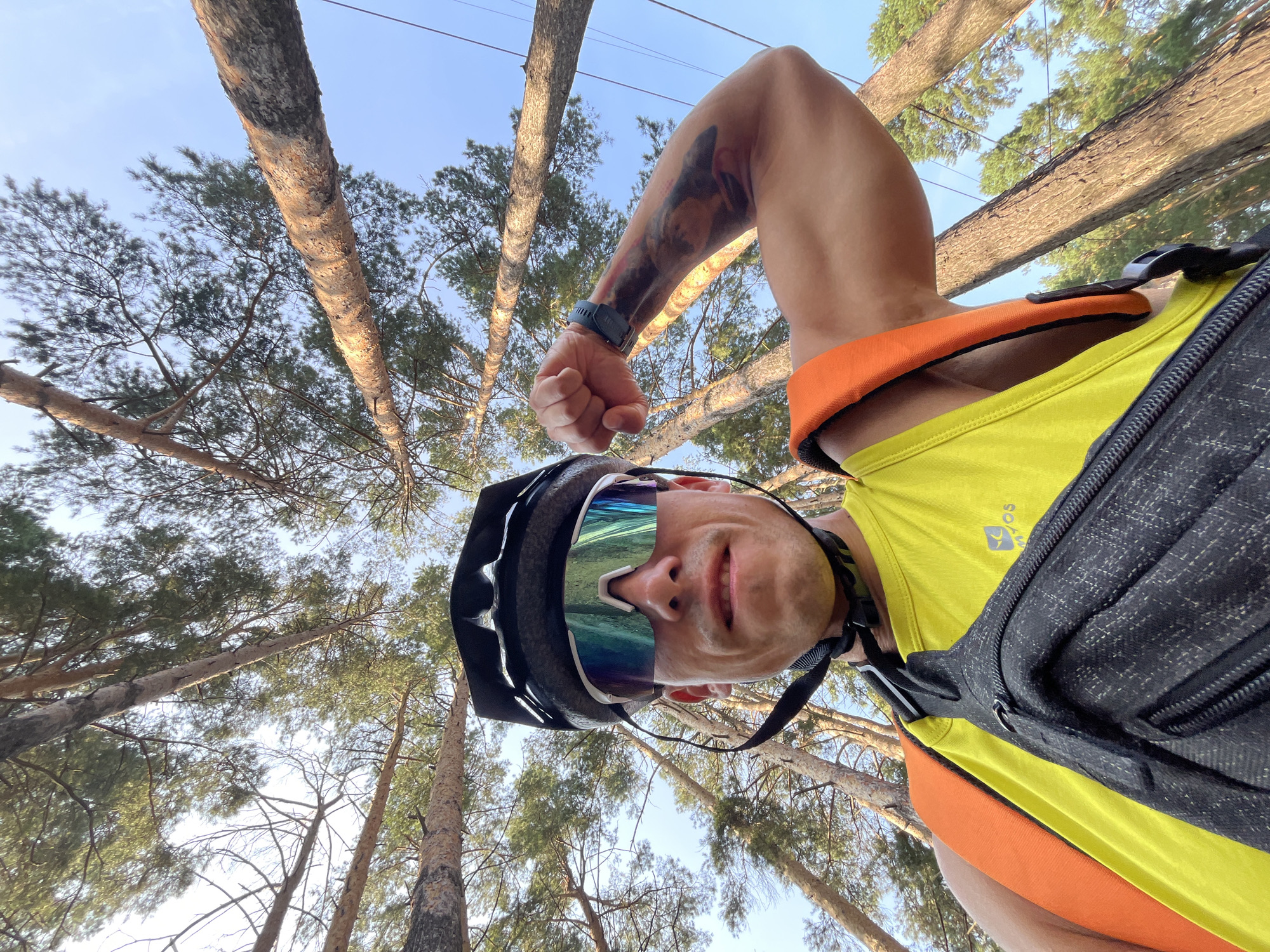 Midride pause in the pine forests of Chaikovsky, Russia