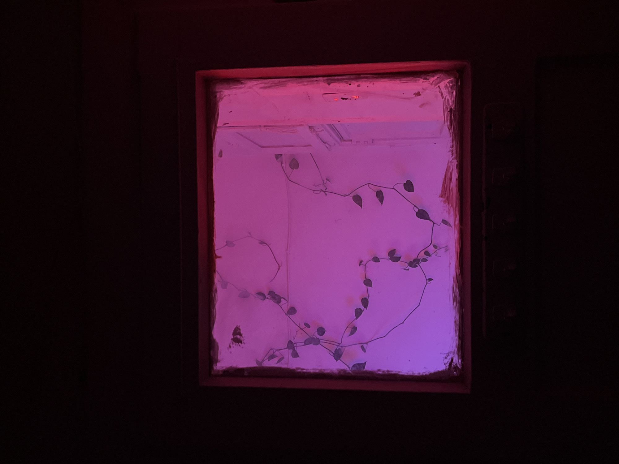 Red-framed window reveals pink-lit white room in Tel Aviv