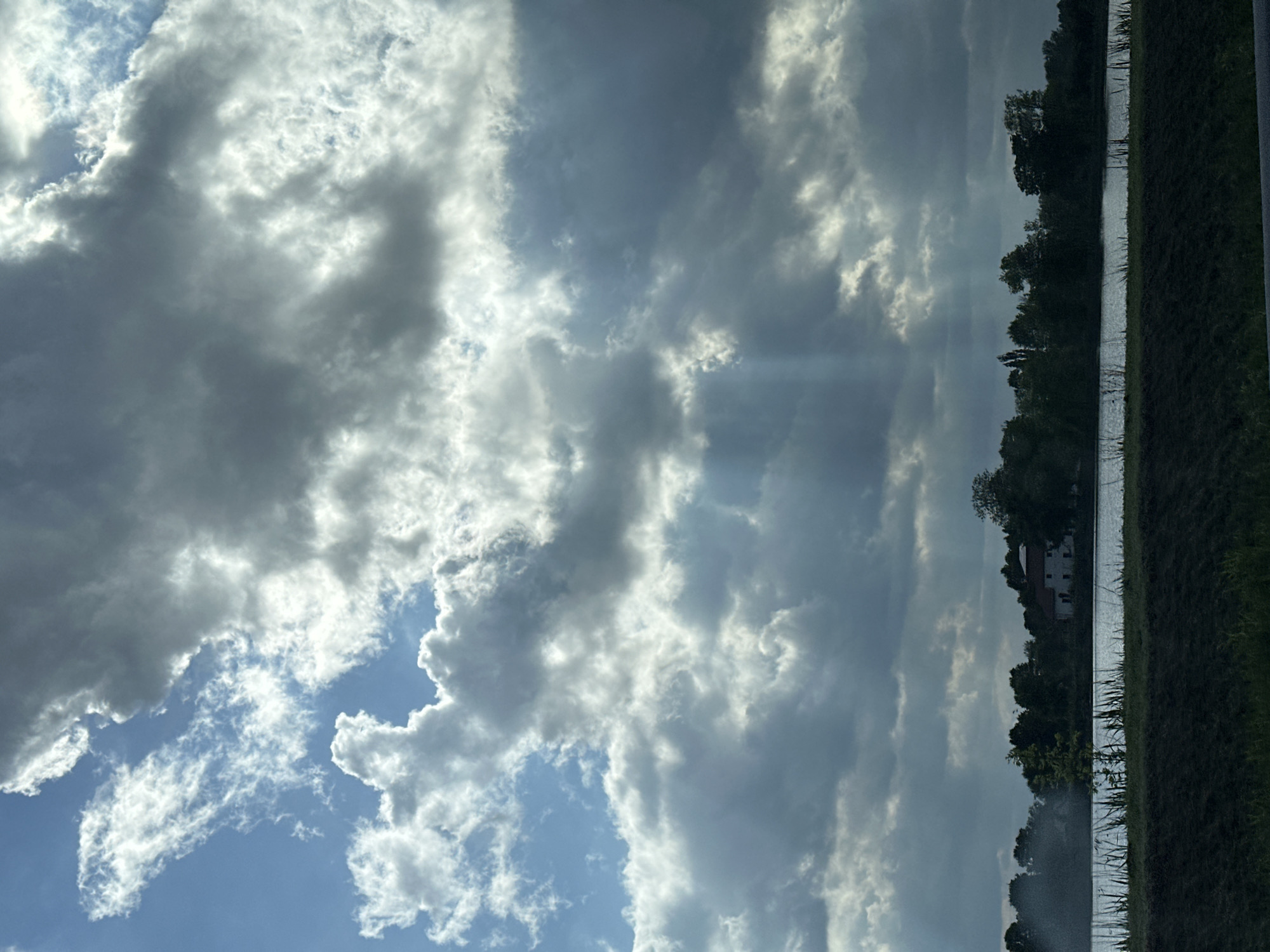 Vehicle journey captures Polish countryside views near Rzepowskie