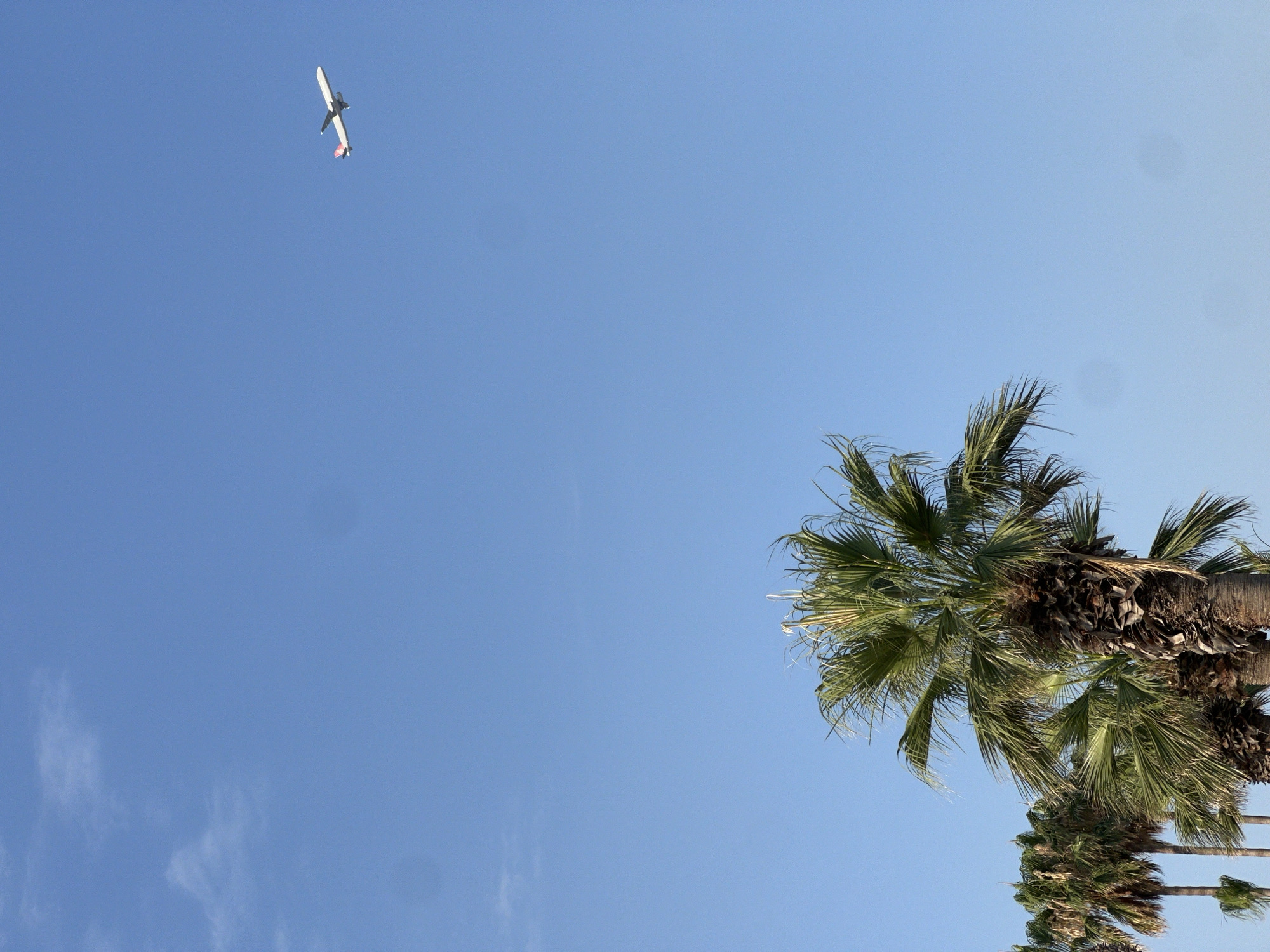 Afternoon at the Antalya waterfront: beach, palms, and paddleboards