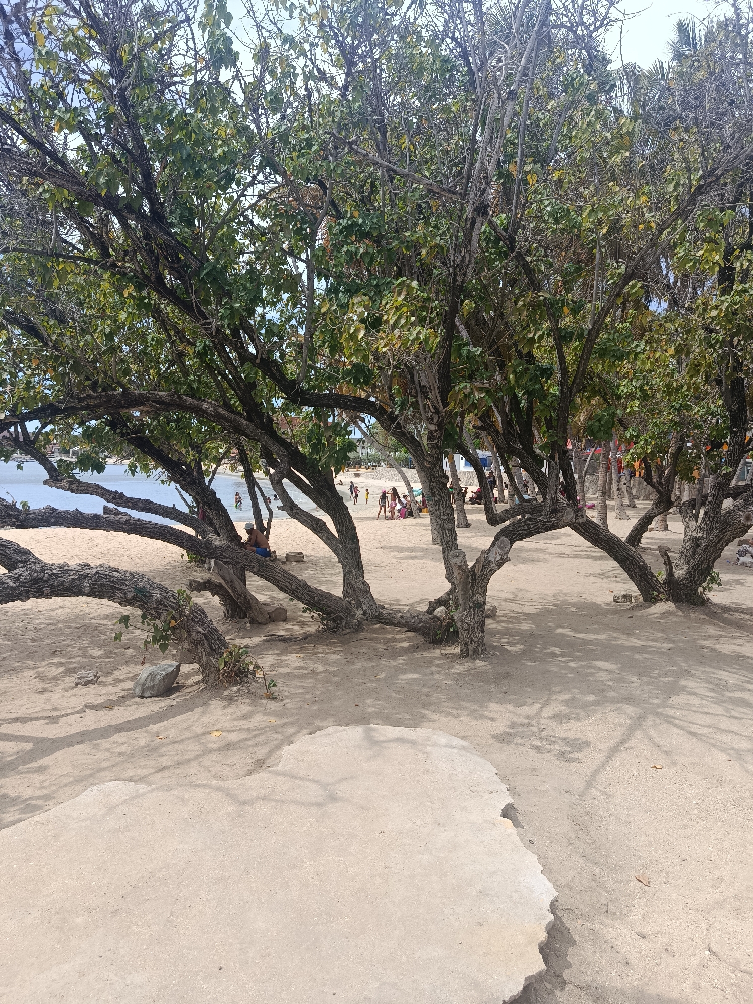 Afternoon coastal scenes documented in Juan Griego, Venezuela waterfront