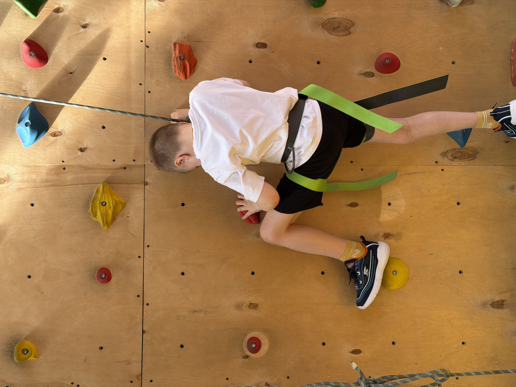 Children indoor rock climbing in Izhevsk, Russia