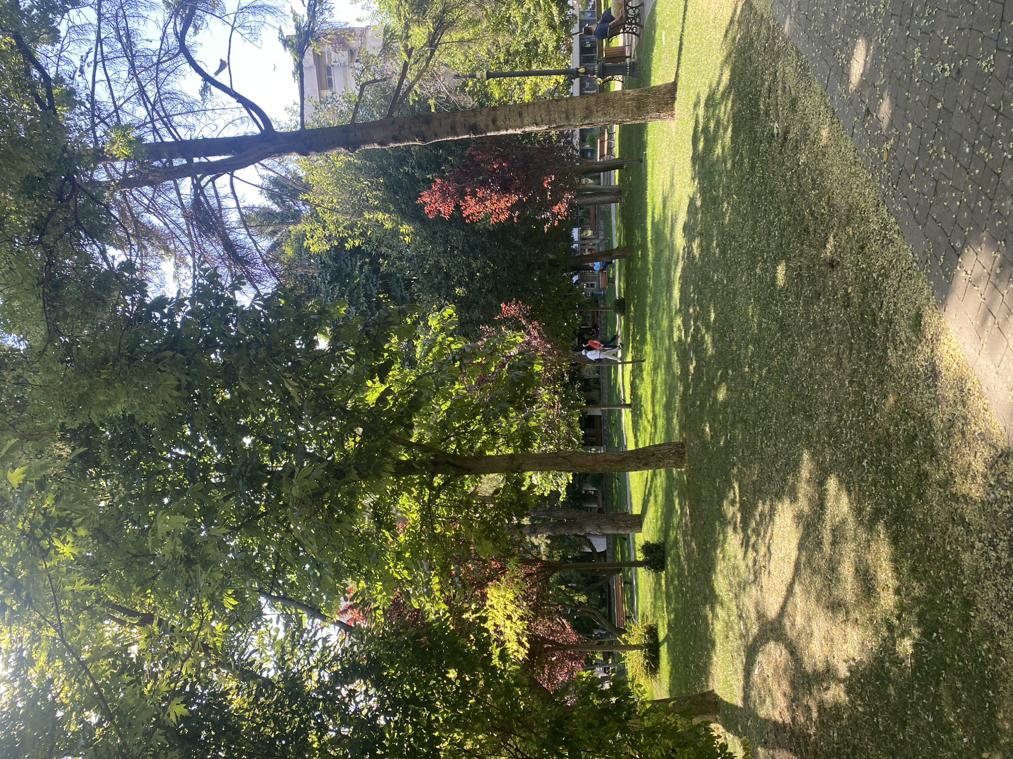 Sunny afternoon stroll through a leafy Iași park