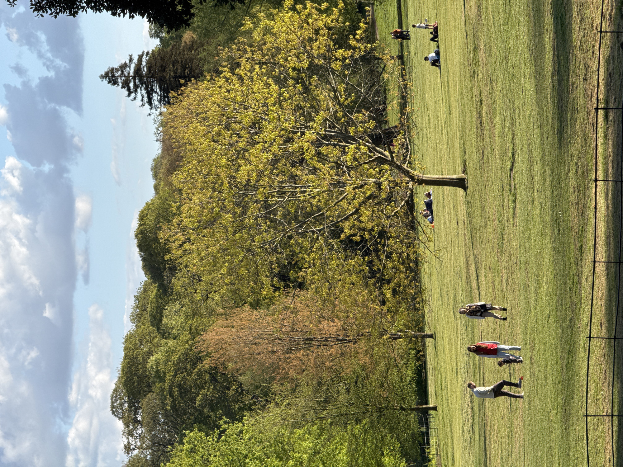 Londoners enjoy spring afternoon in parks across city