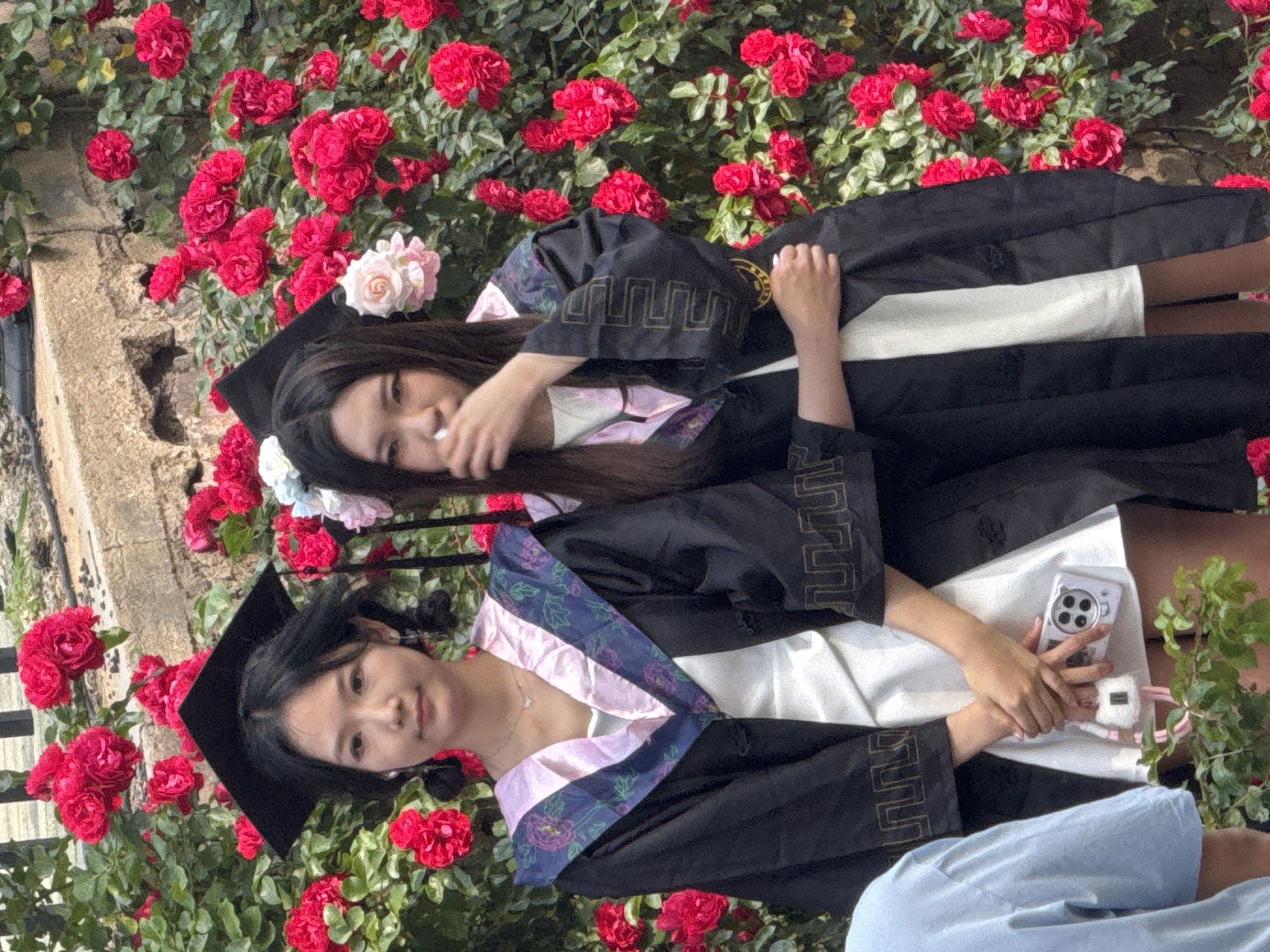 Graduation photoshoots amid red roses captured in Zhongtun, China