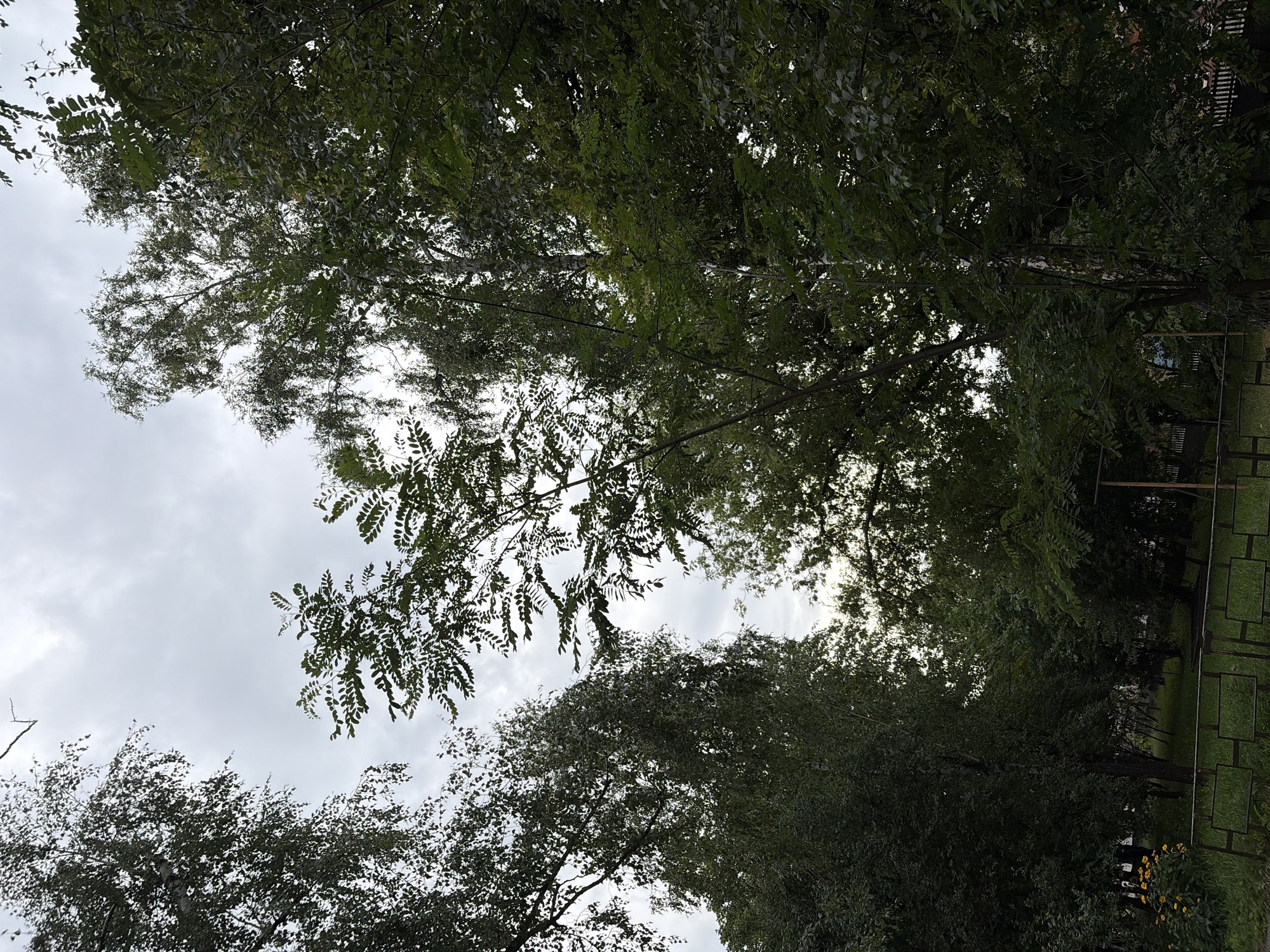 Quiet afternoon scenes from a Chernihiv neighborhood