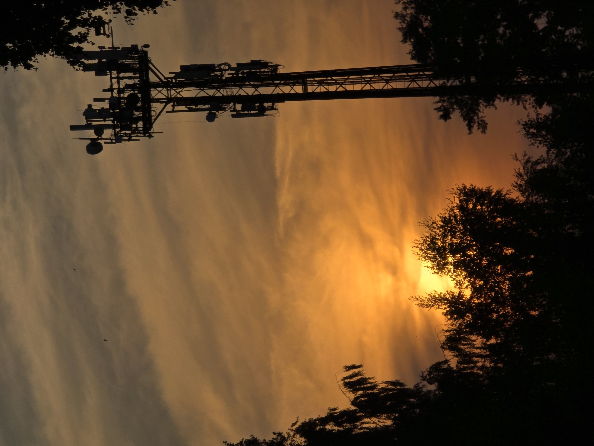 Sunset over Chaikovsky rail yard, cell tower and selfie