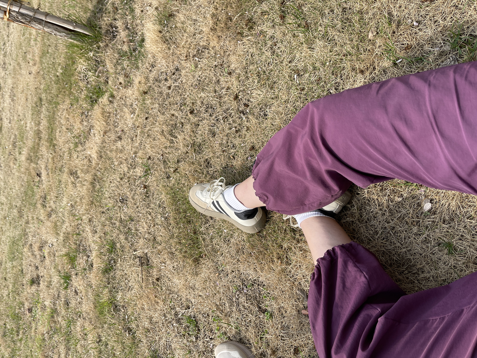 Person in purple pants sits on grass in Jinshui District