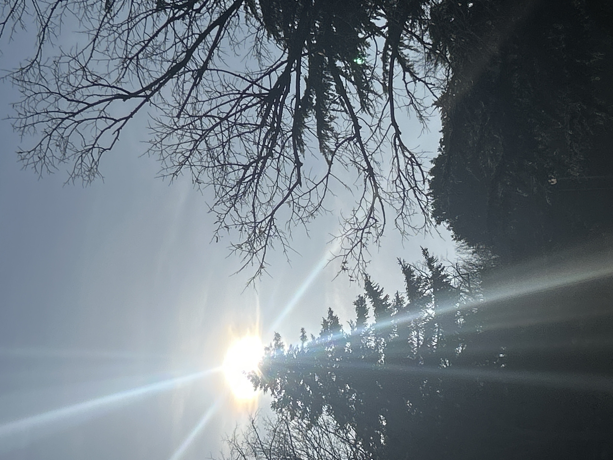 Bright sunny day captured in Varna, Bulgaria