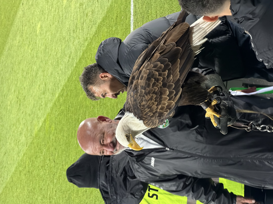 Football match with eagle display at Ludogorets Arena, Bulgaria