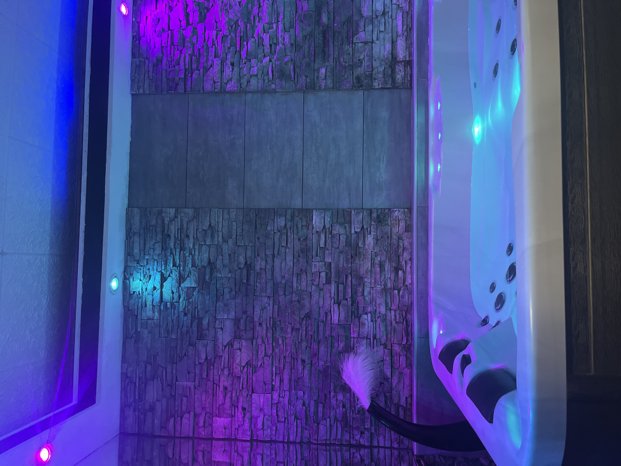 Modern spa bathroom with hot tub documented in Zagreb