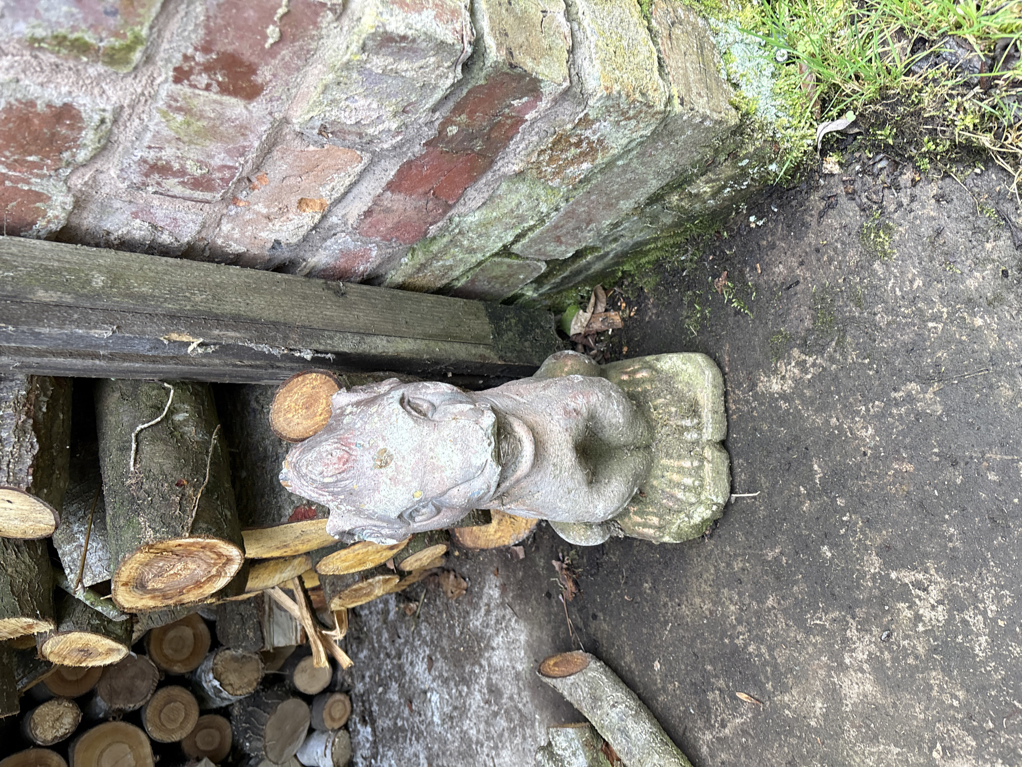 Garden ornaments and spring flowers documented in Pulverbatch village