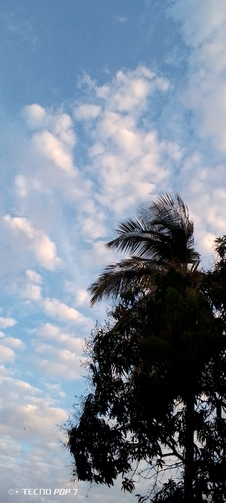 Sky conditions documented over 15 minutes in Altagracia, Venezuela