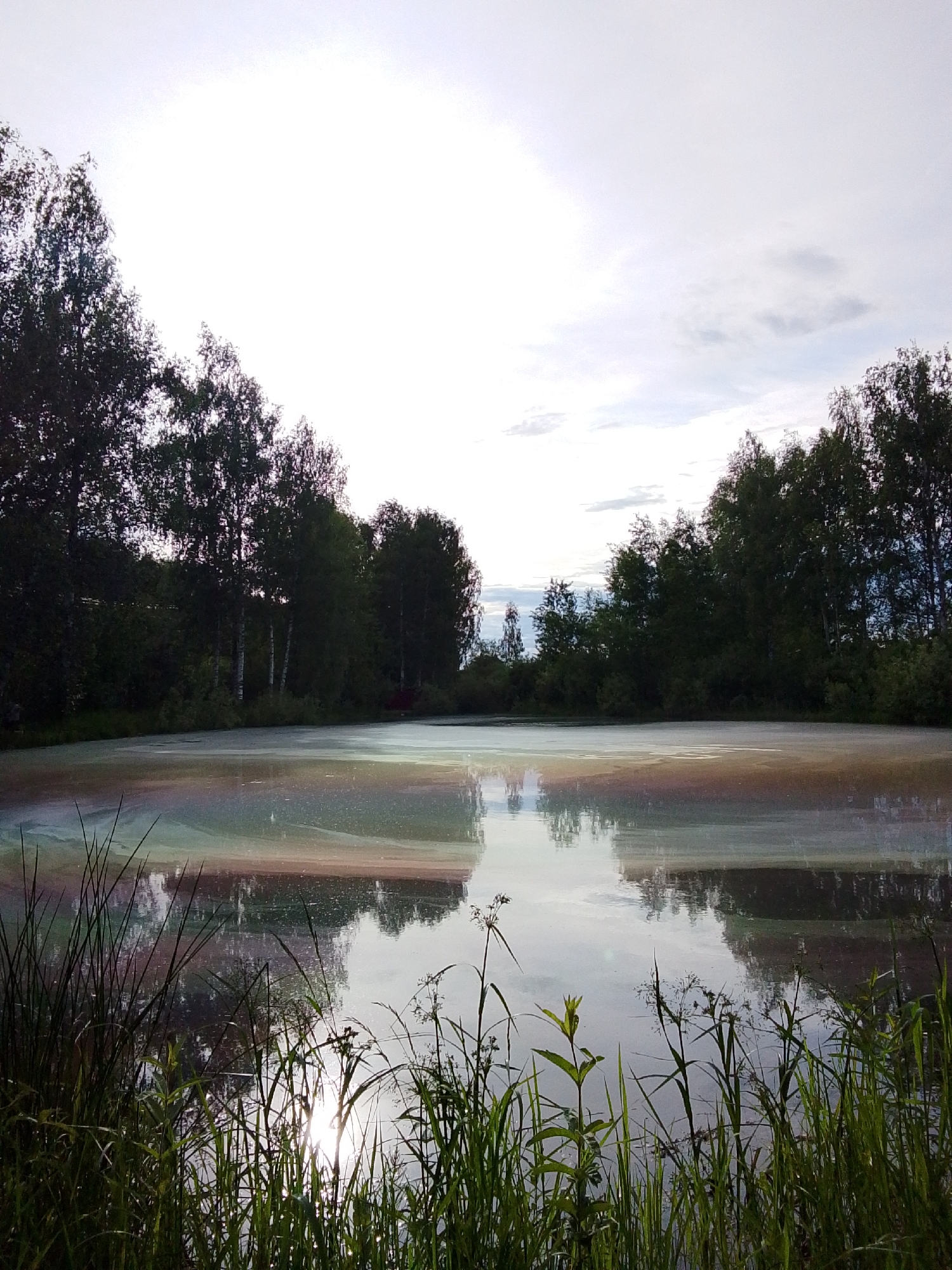 Pond shows oil sheen in Russian village Снопок Новый