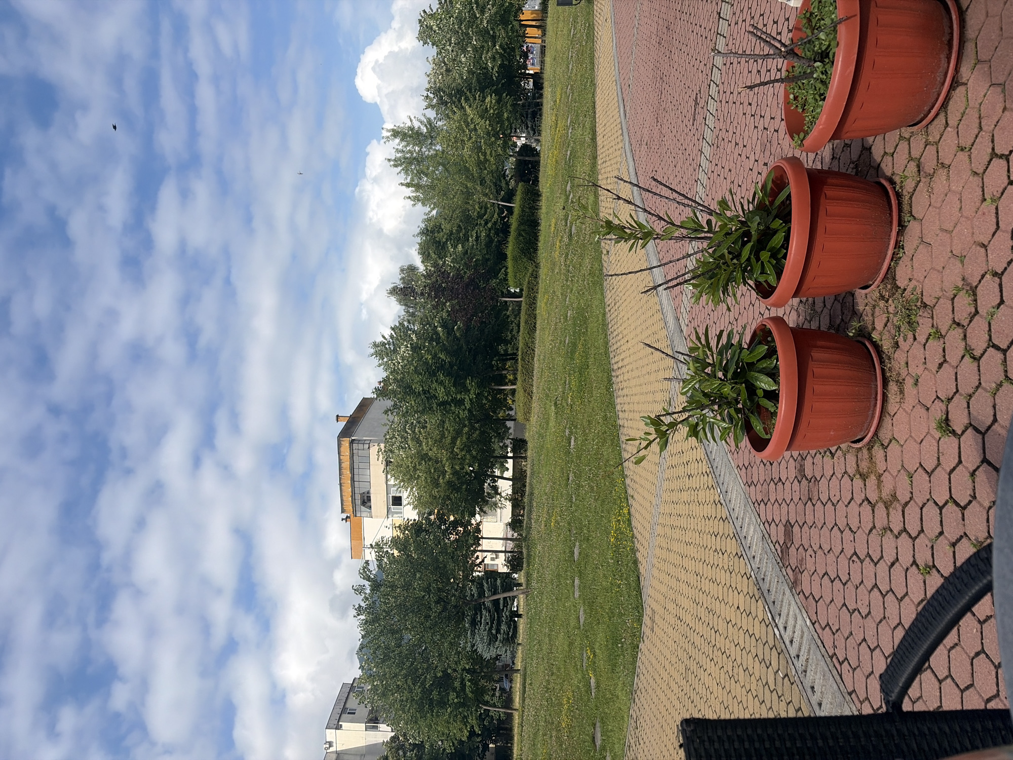 Morning coffee at a Vratsa park café, June 2026