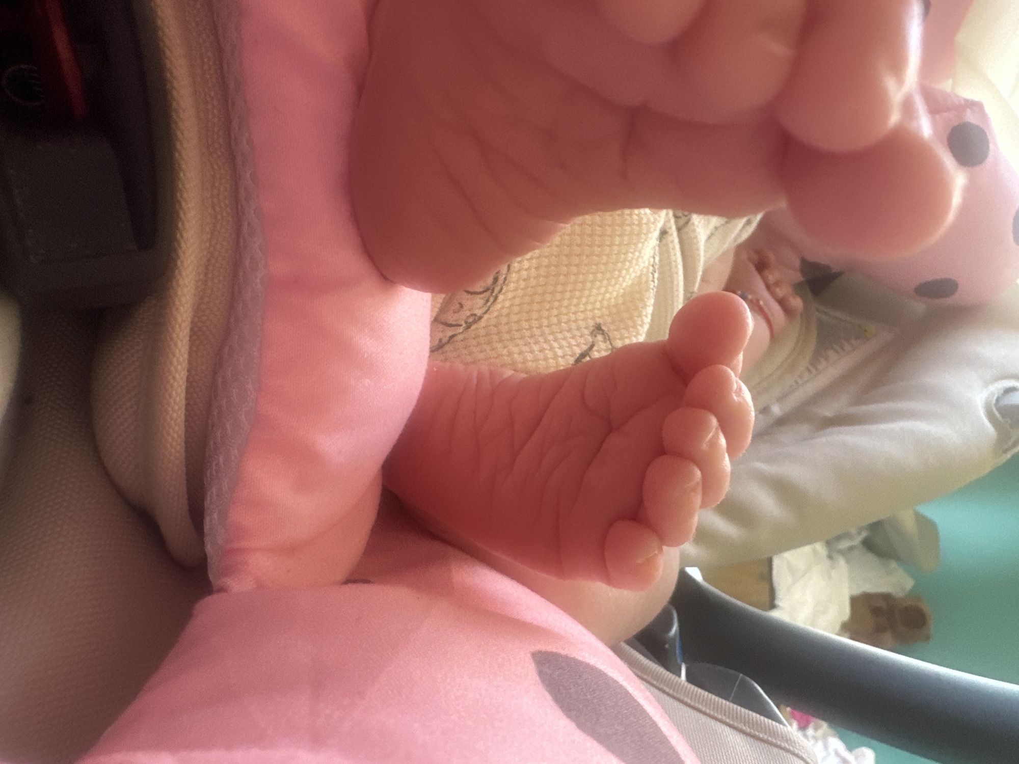 Quiet afternoon moments with a newborn in Plovdiv