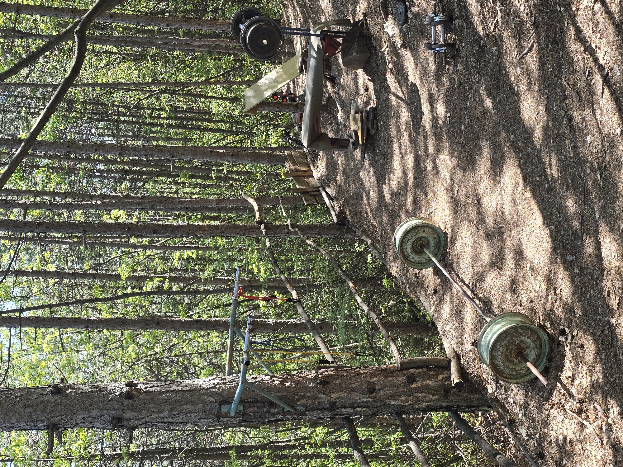 Forest gym discovered with homemade equipment in Bulgarian woods