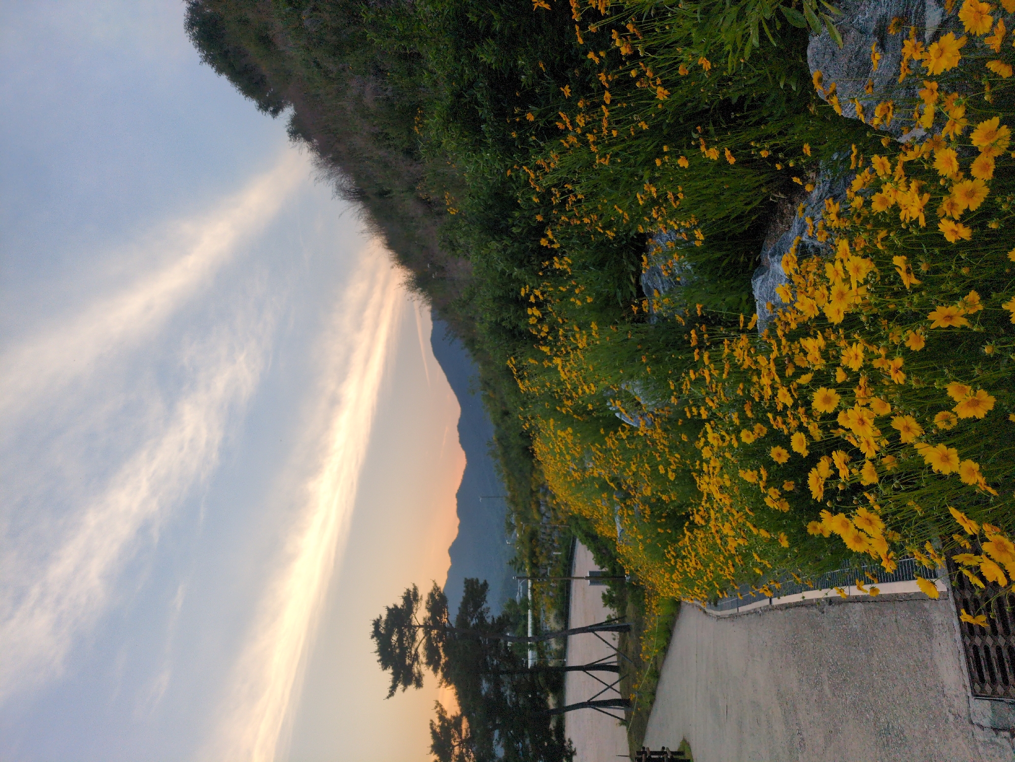 Evening landscapes and outdoor scenes documented in Iwon, South Korea