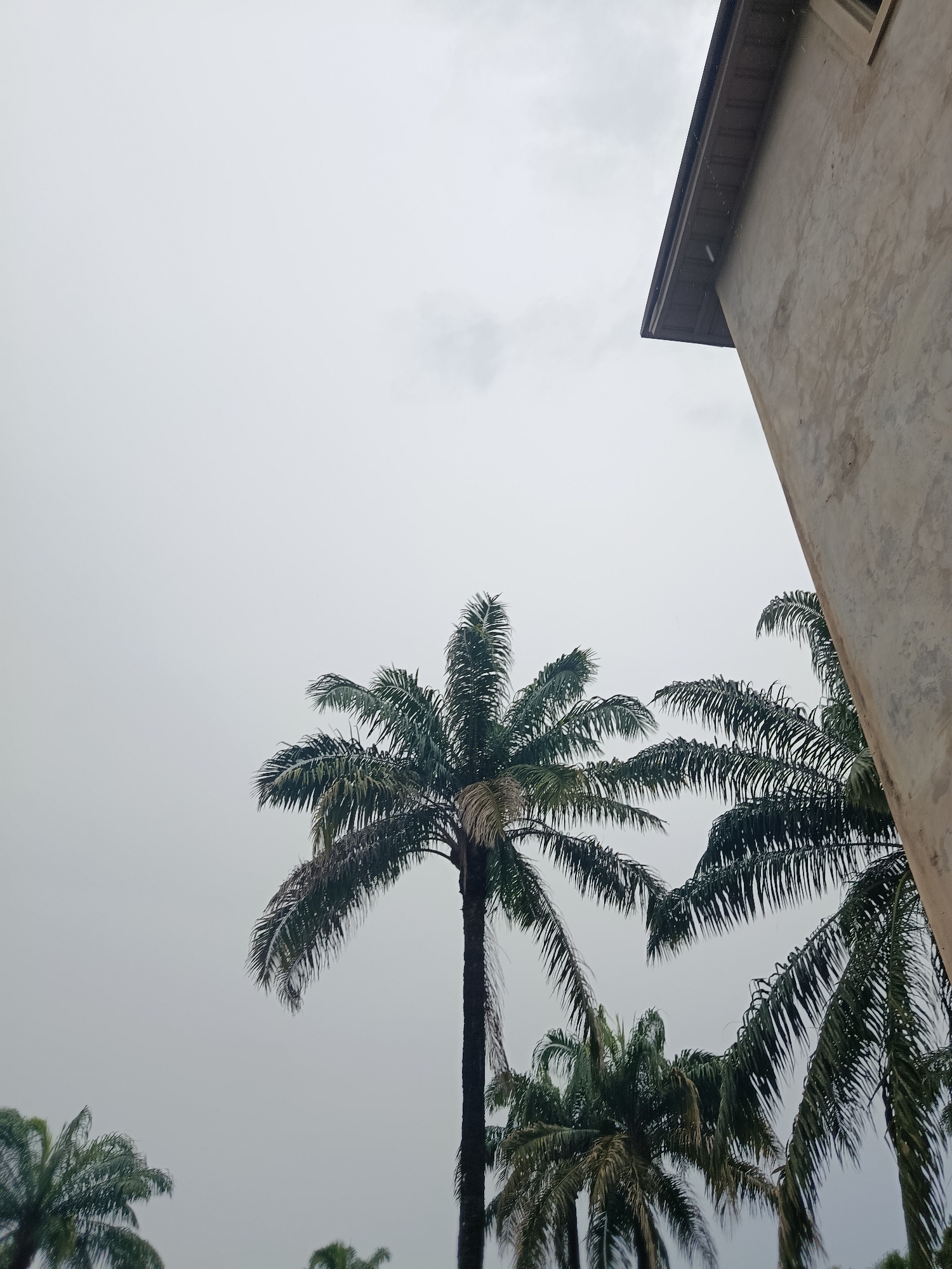 Overcast morning at a residential compound in Ukpor, Nigeria