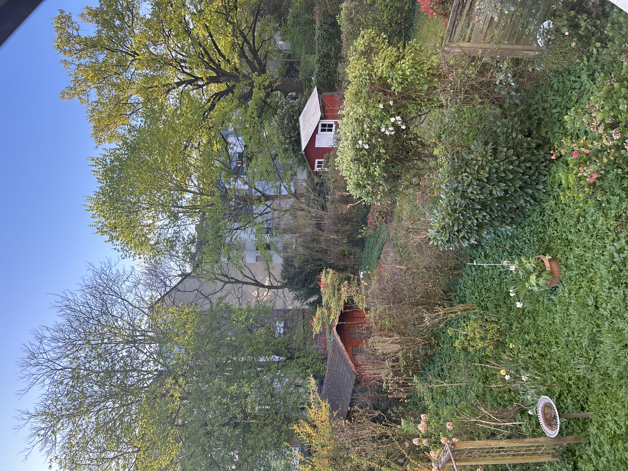 Morning garden scene captured in Karlsruhe, Germany