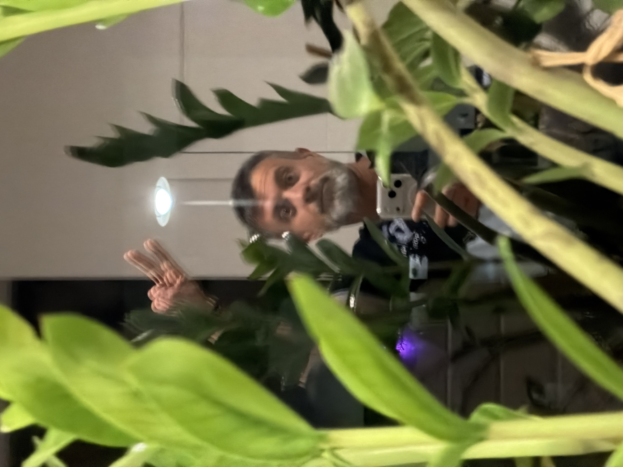 Easter decorations and selfie moments captured in Junglinster
