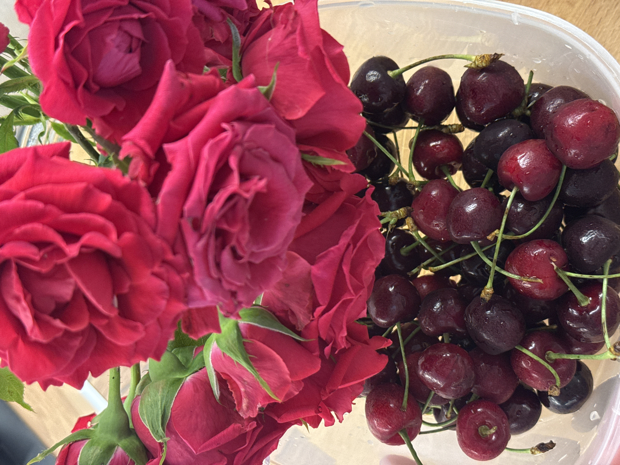 Fresh cherries and red roses arranged on a wooden surface