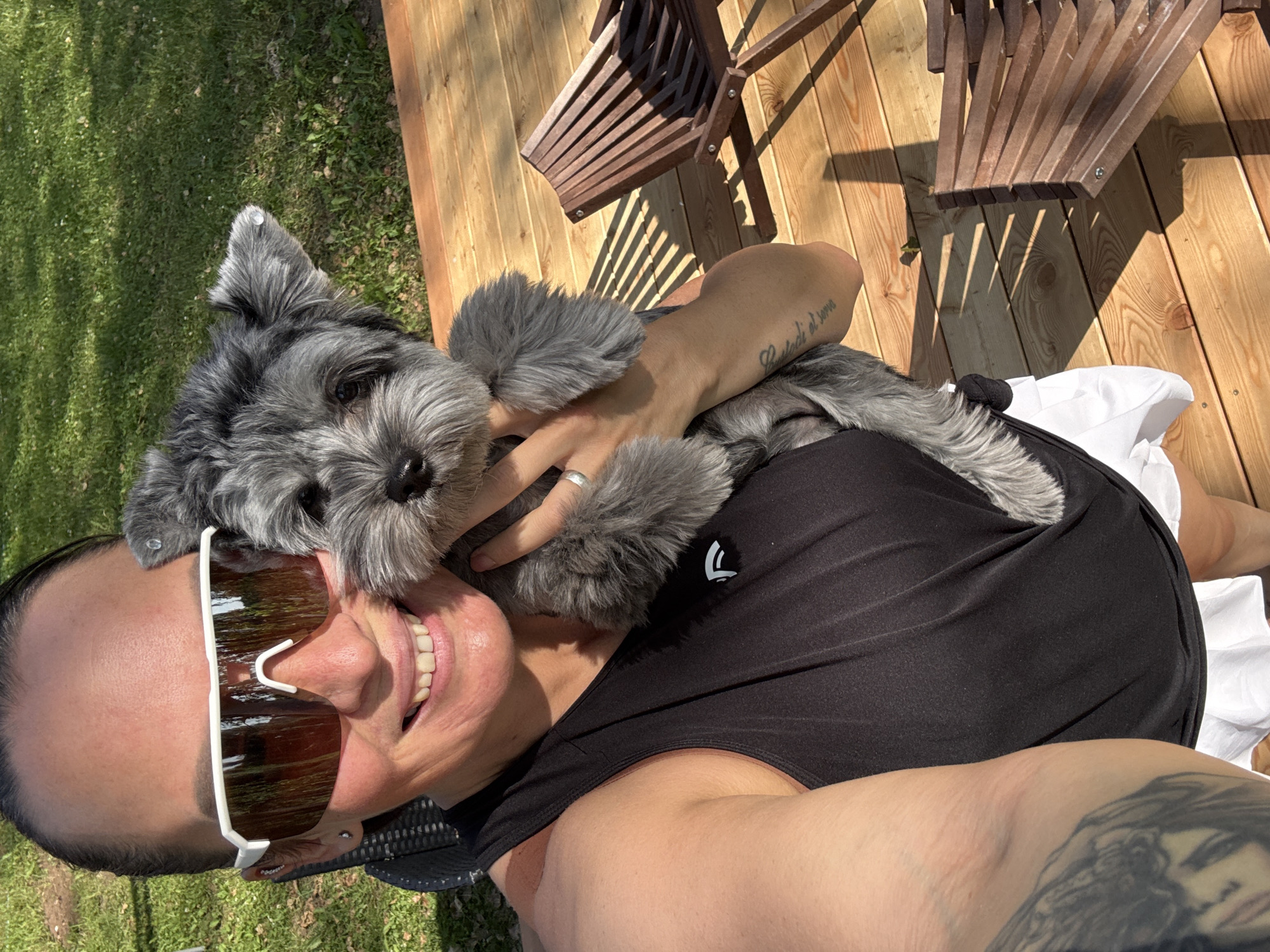 Lazy summer day on a lakeside deck with a schnauzer