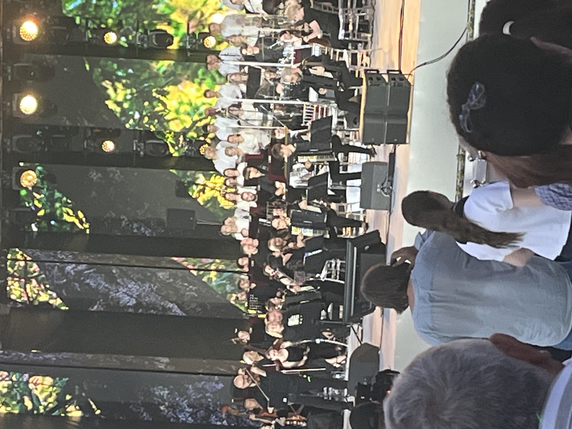 Outdoor orchestral concert fills Chișinău's Green Theatre on summer evening