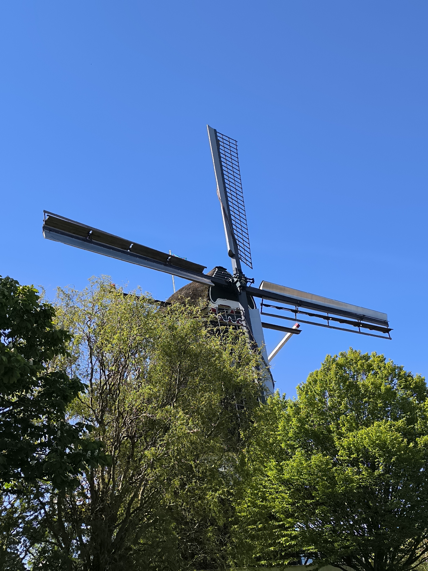 Spring morning scenes captured around Alkmaar windmill and playground