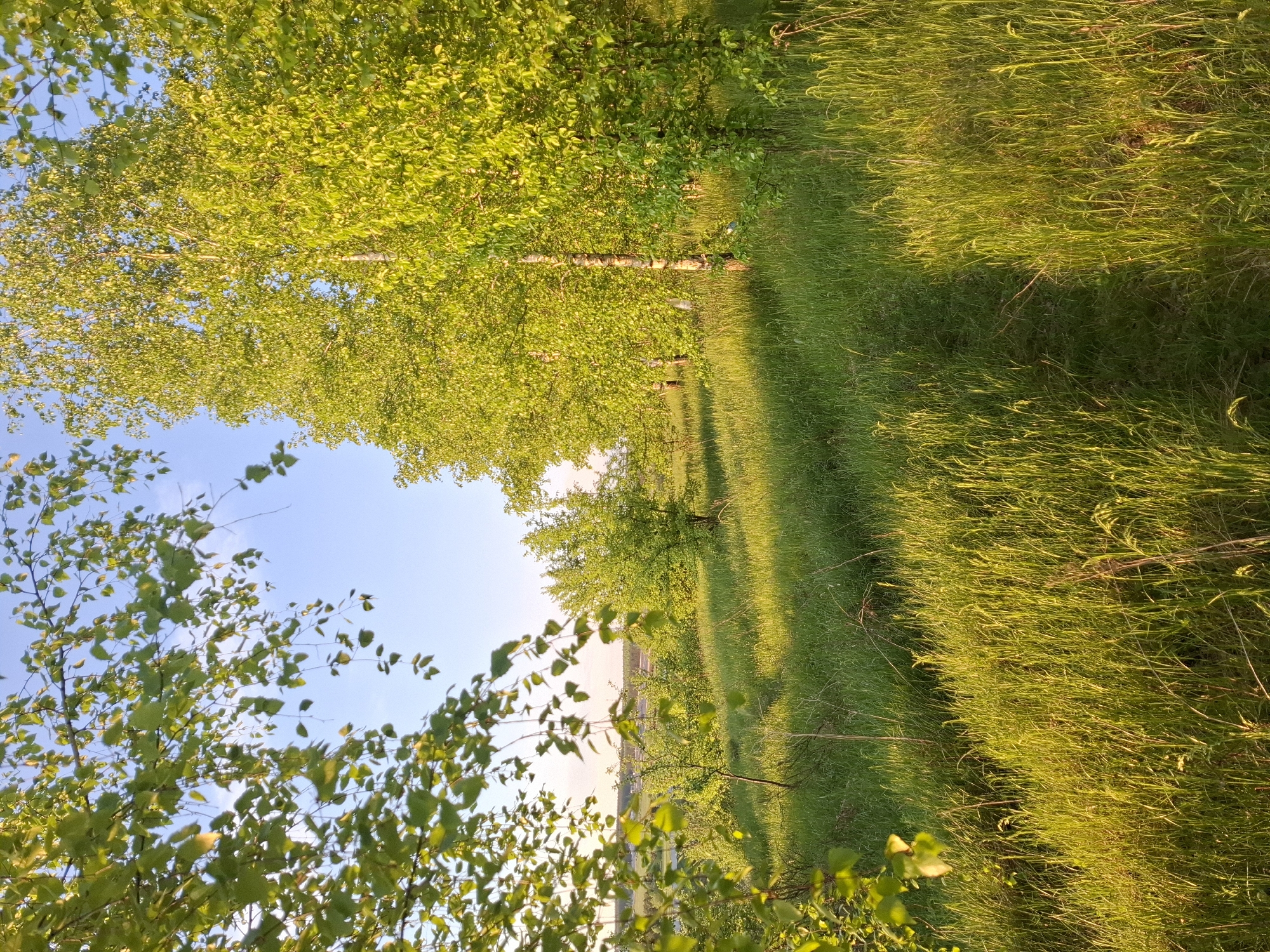 Rural landscape photographed in Khlevnoye, Russia during afternoon hours