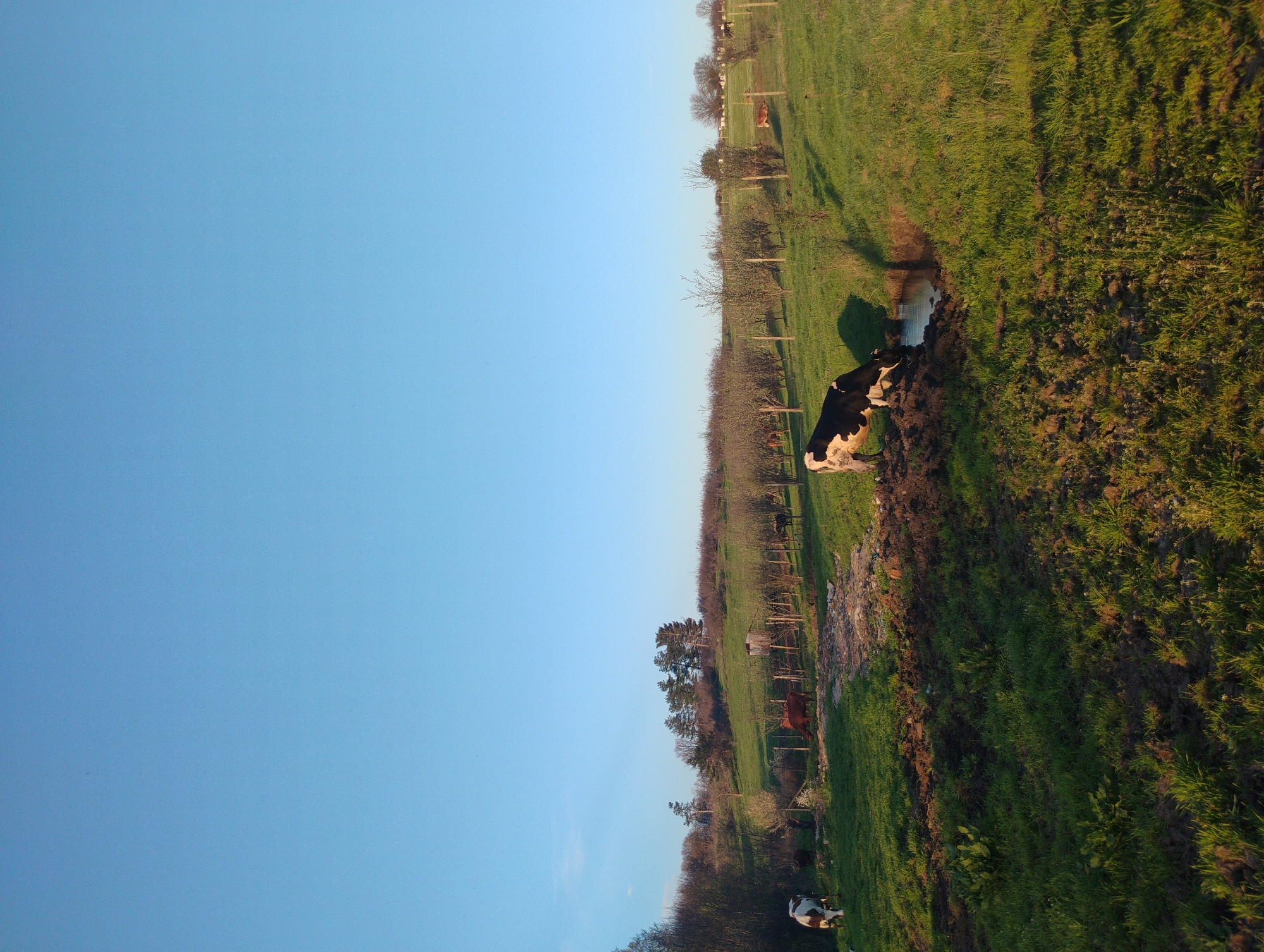 Rural life moments captured across Trakiya, Bulgaria countryside