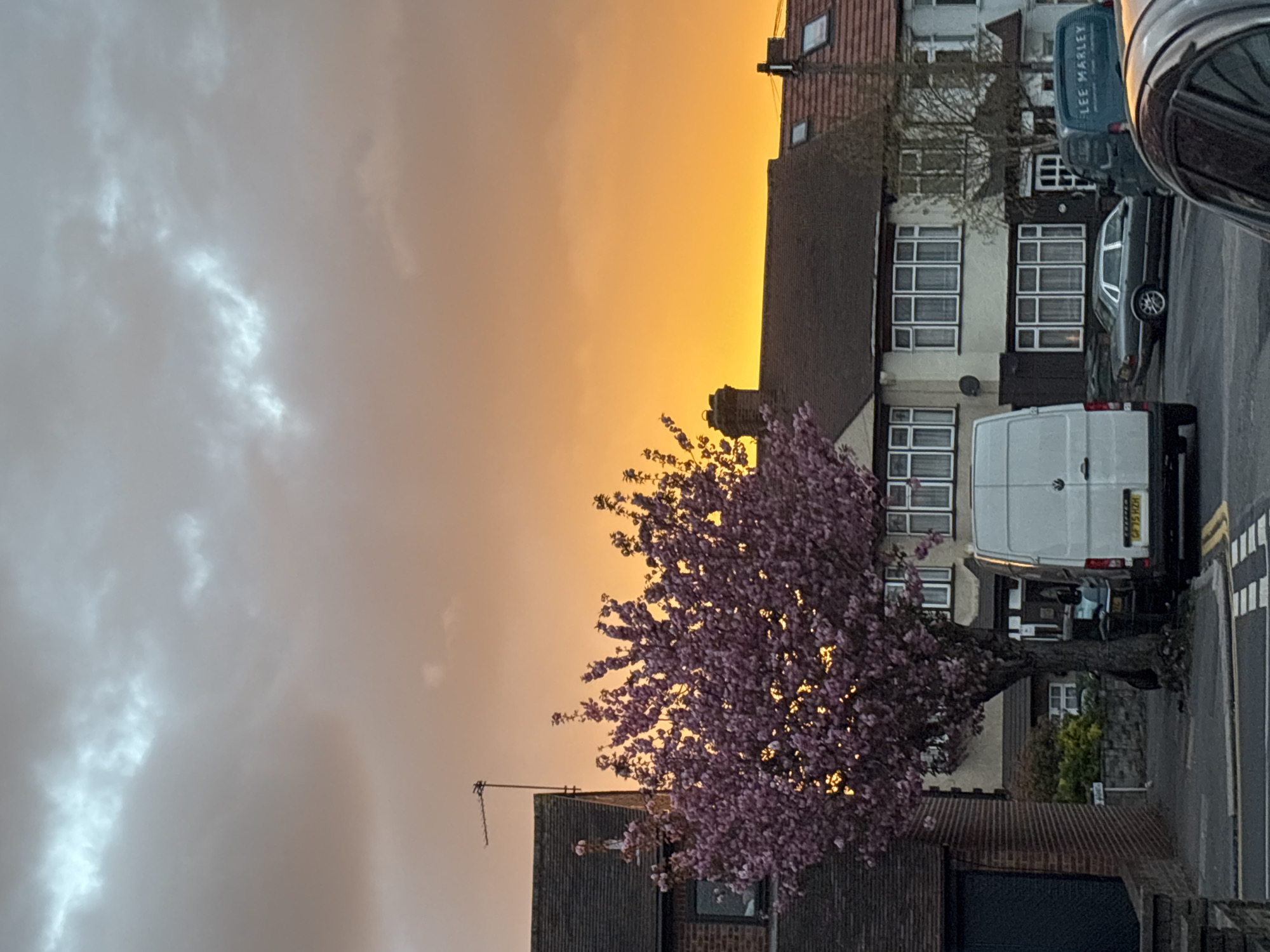 London street scenes captured during dramatic sunset with blossoming tree