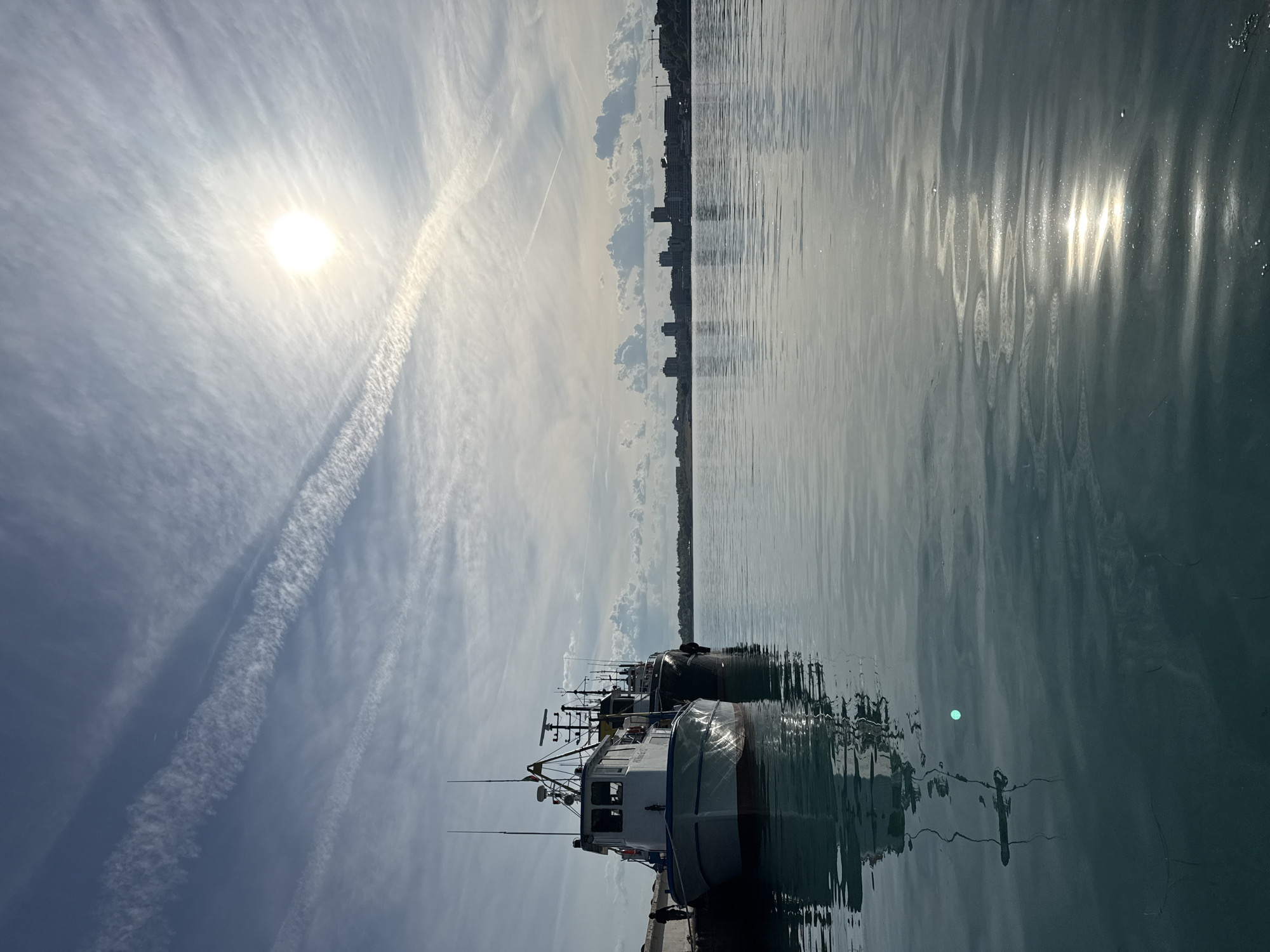 Jellyfish spotted from Nesebar pier, Bulgaria waterfront visit documented
