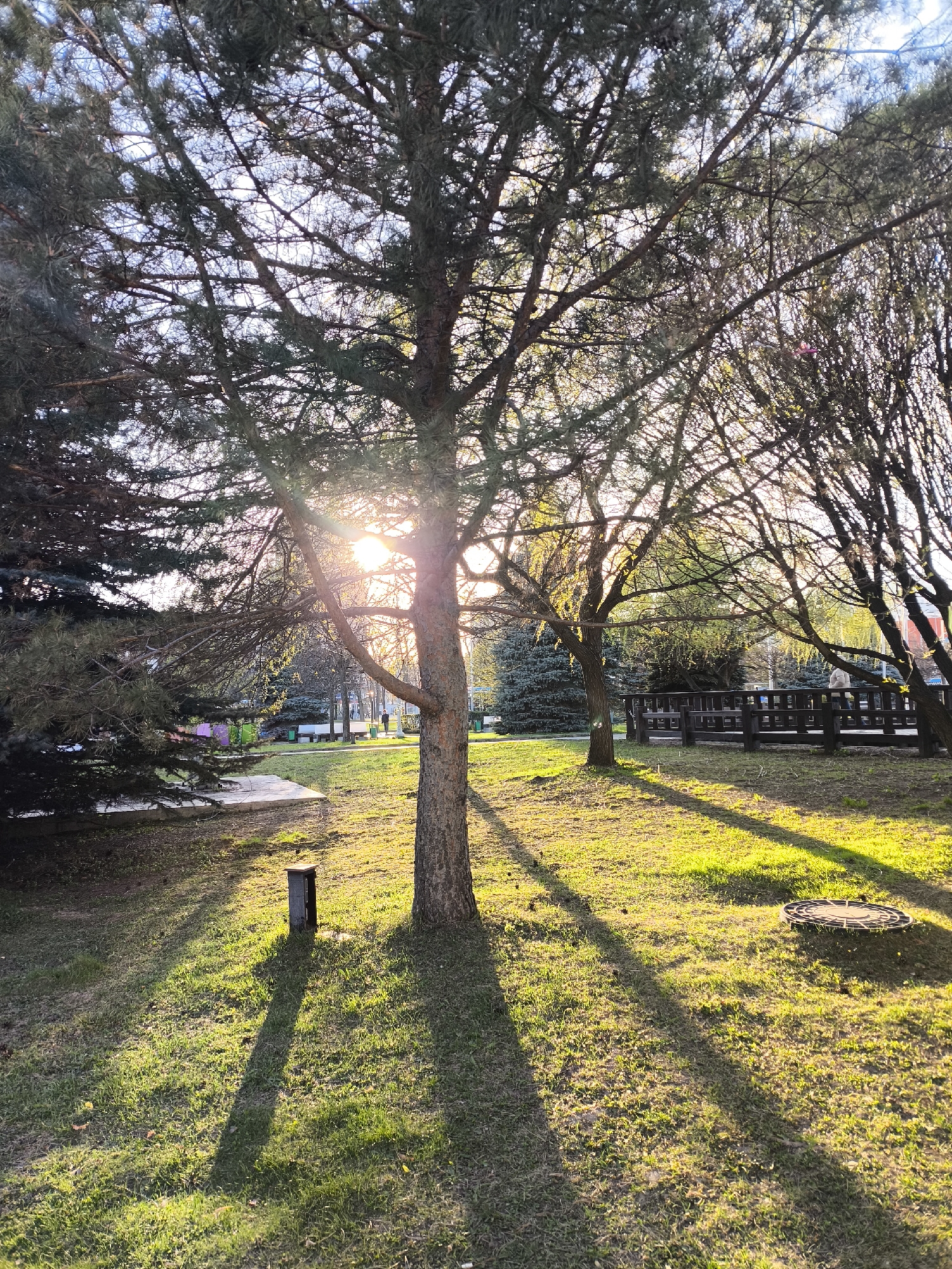Afternoon stroll captures Moscow's parks, art, and street food