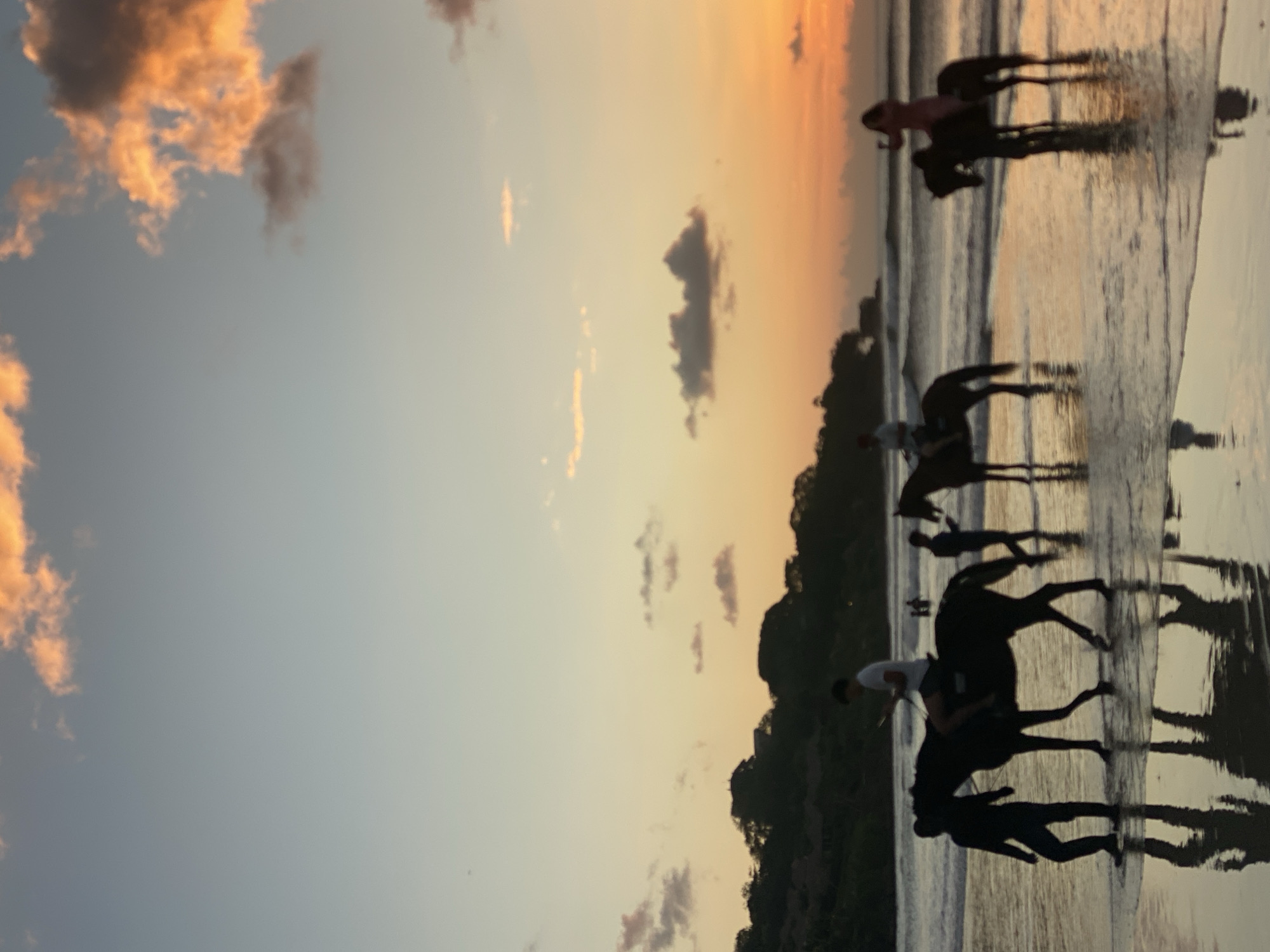 Horses on wet sand at sunset, Kuta Selatan beach.