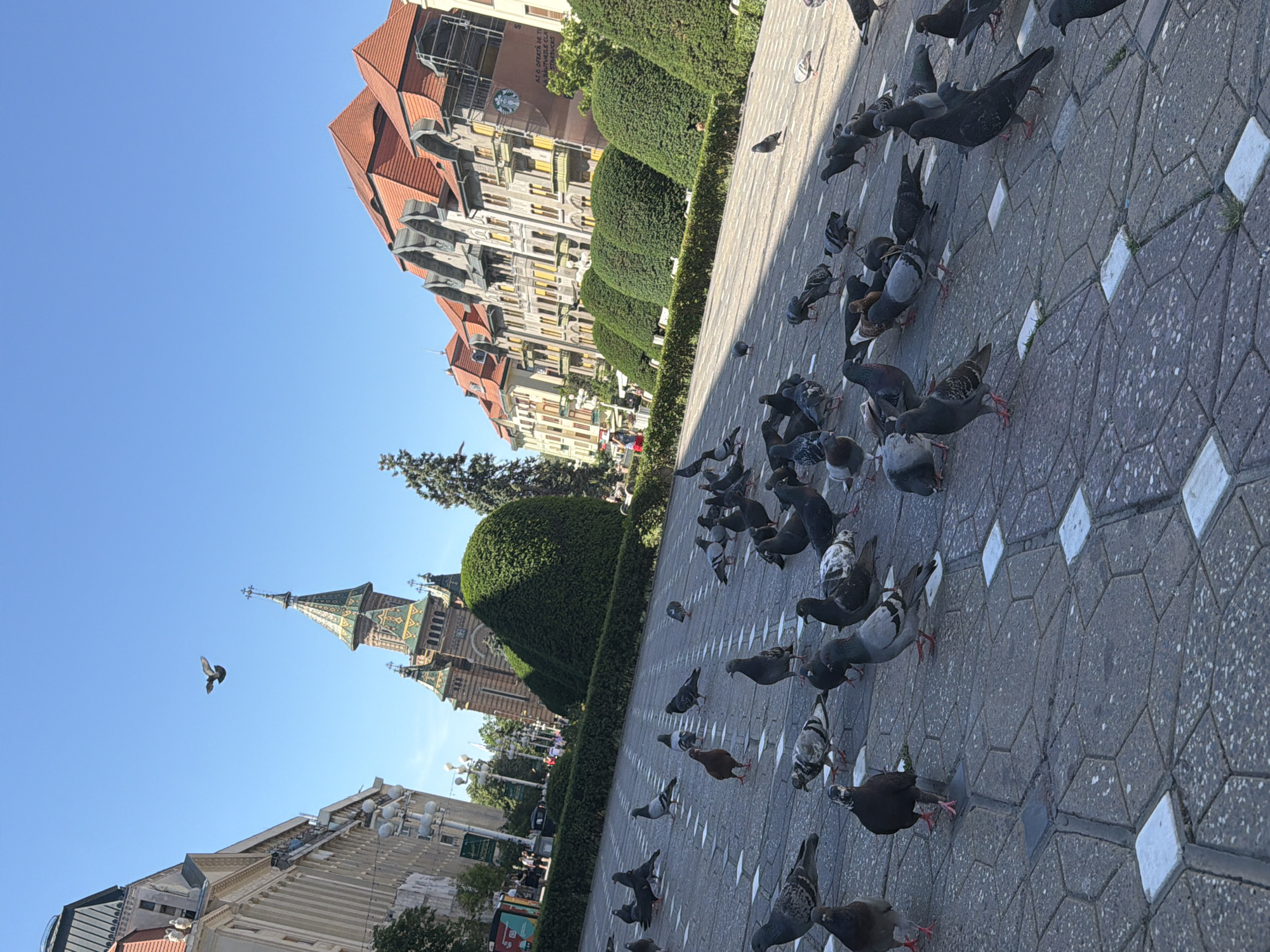 Morning street life documented in decorated Timișoara pedestrian zone