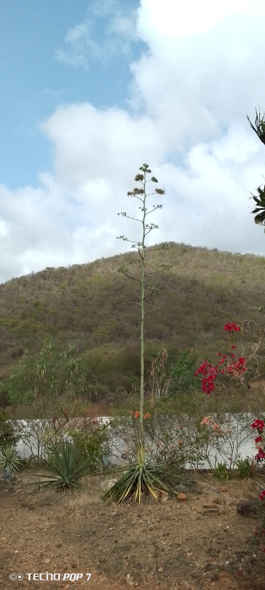 Exploring a rustic hacienda's gardens and grounds in Altagracia
